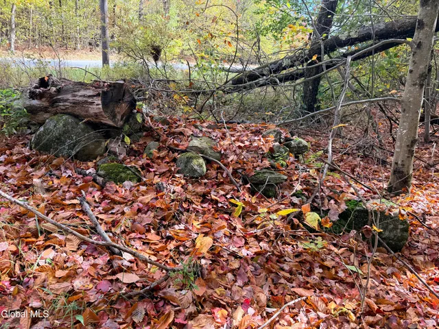 $220,000 | L25.12 Taconic Lake Road, Petersburg, NY 12138