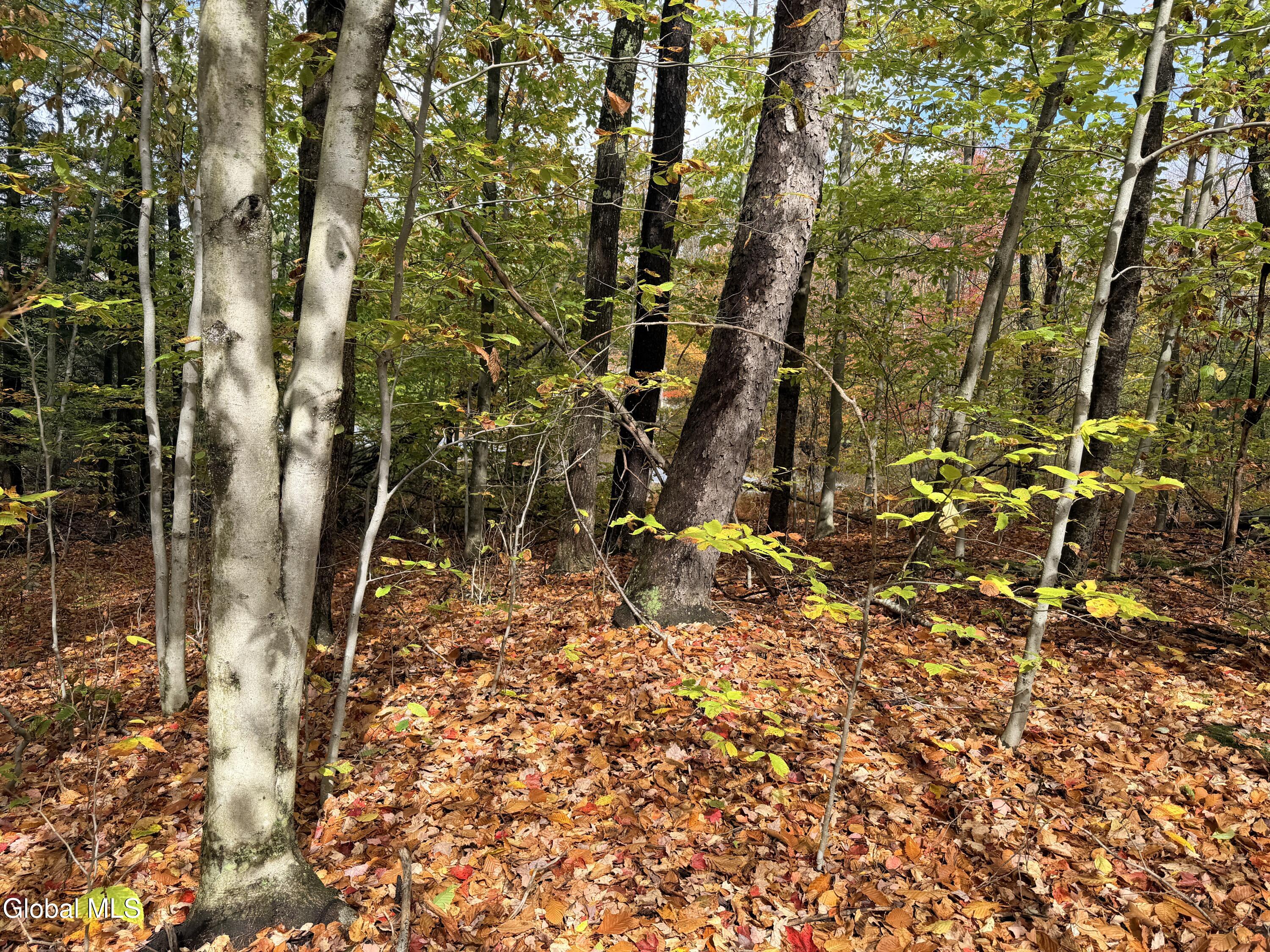 L25.12 Taconic Lake Road Petersburg, NY 12138 - Photo 57 of 60 IMG_0454 3