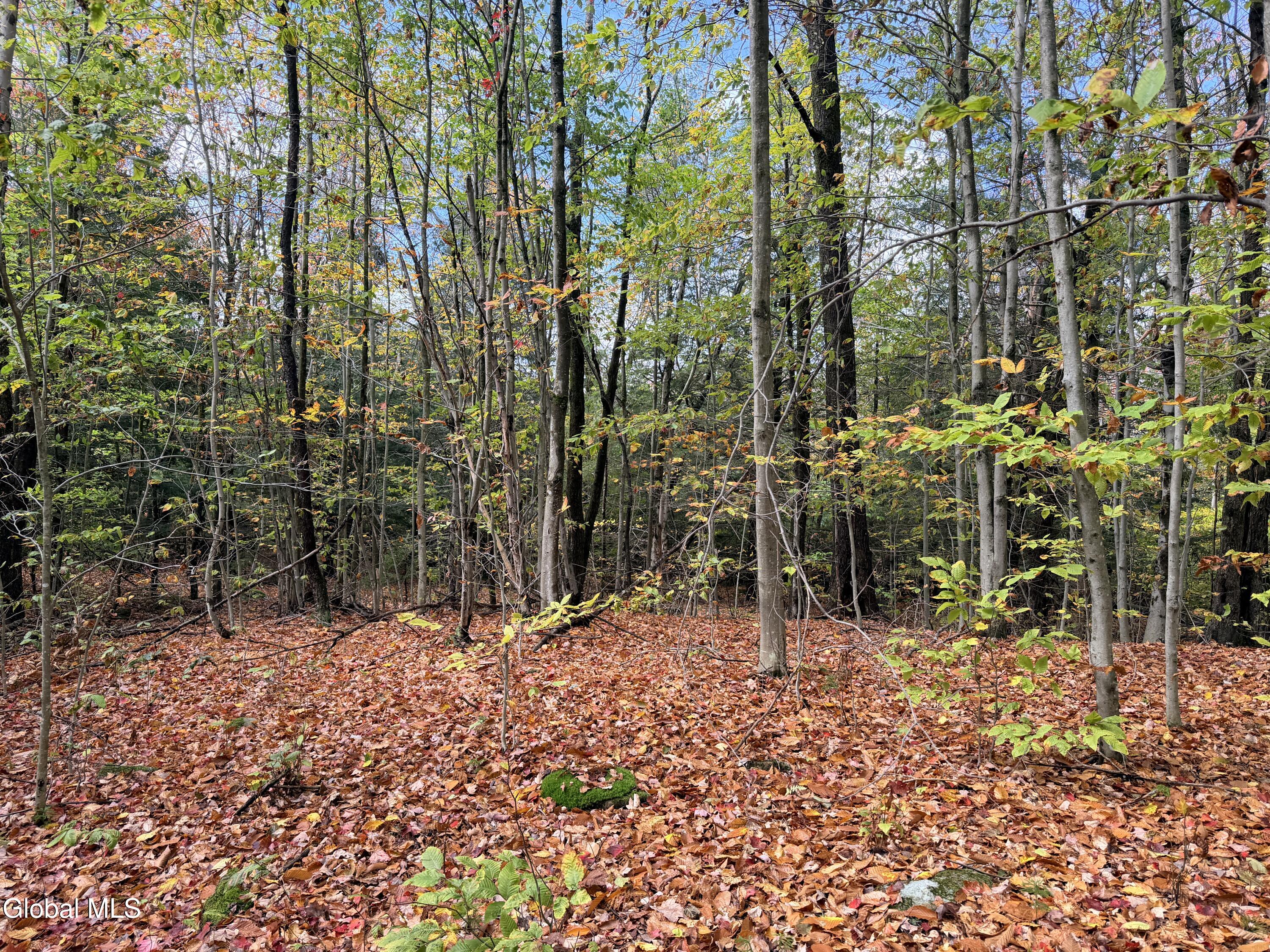 L25.12 Taconic Lake Road Petersburg, NY 12138 - Photo 58 of 60 IMG_0453 4