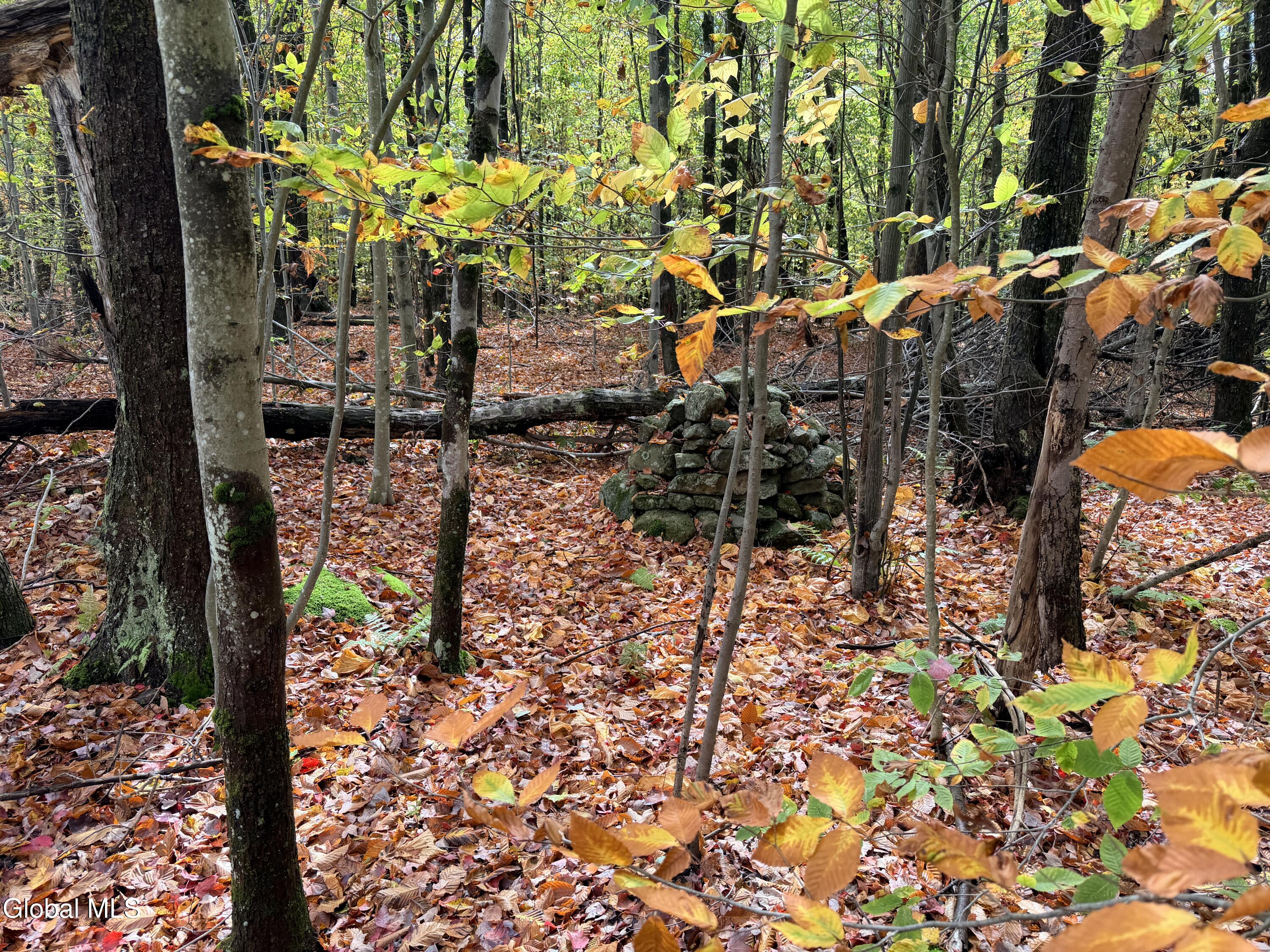 L25.12 Taconic Lake Road Petersburg, NY 12138 - Photo 59 of 60 IMG_0452 3