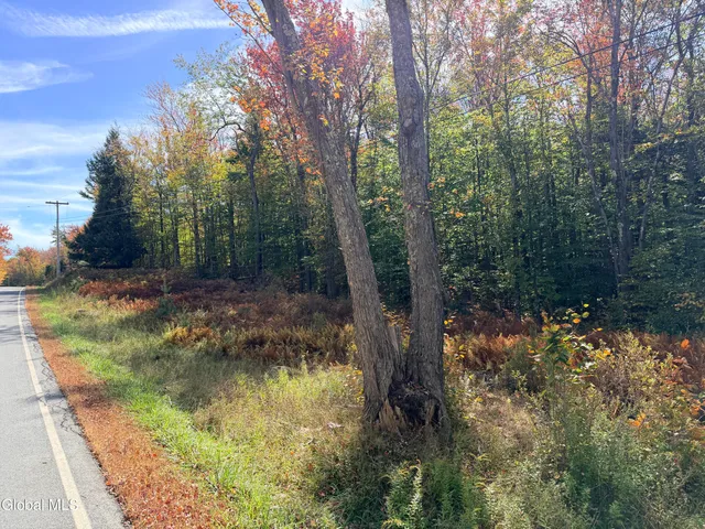 $220,000 | L25.12 Taconic Lake Road, Petersburg, NY 12138