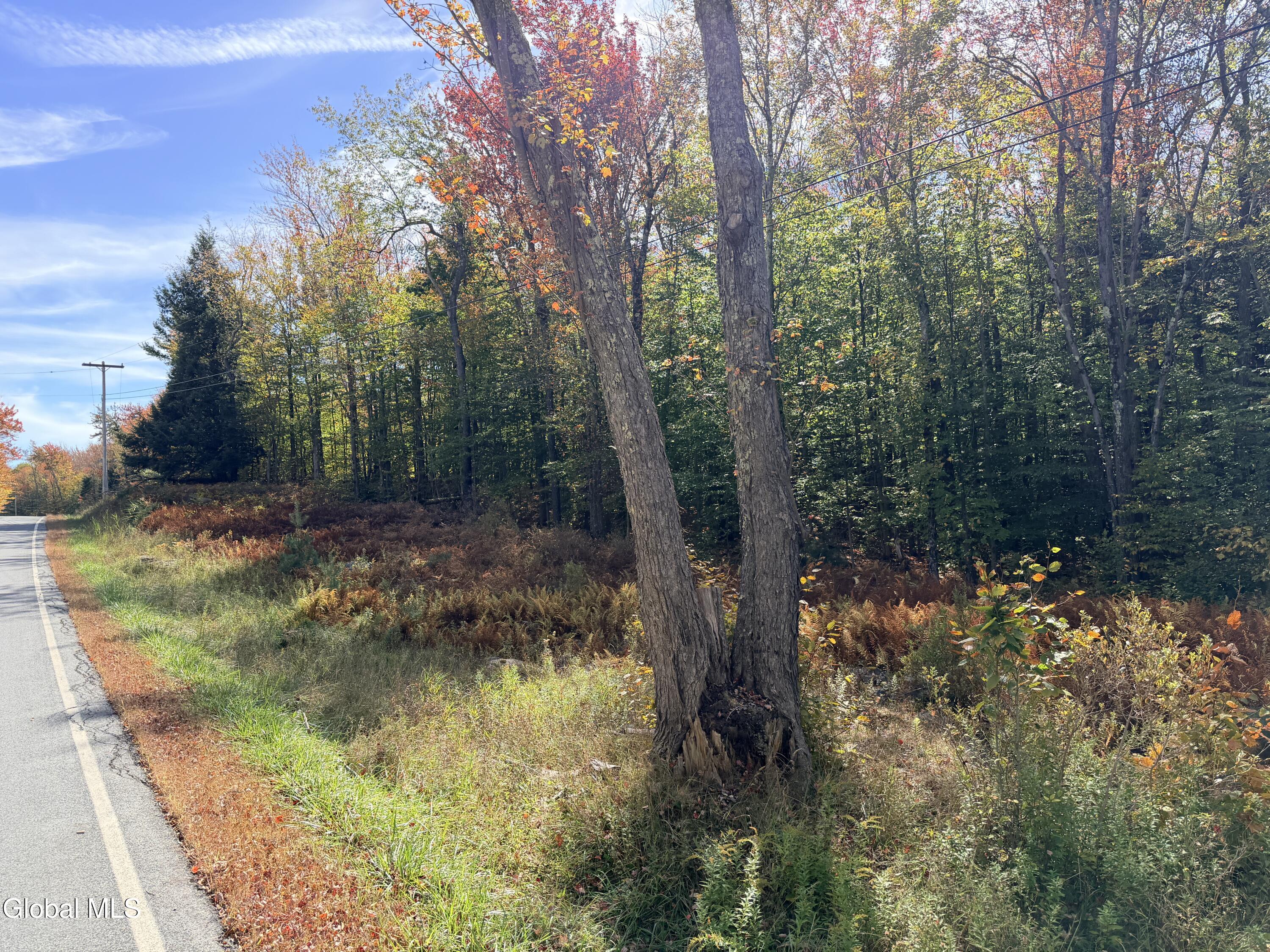 L25.12 Taconic Lake Road Petersburg, NY 12138 - Photo 6 of 60 IMG_0176