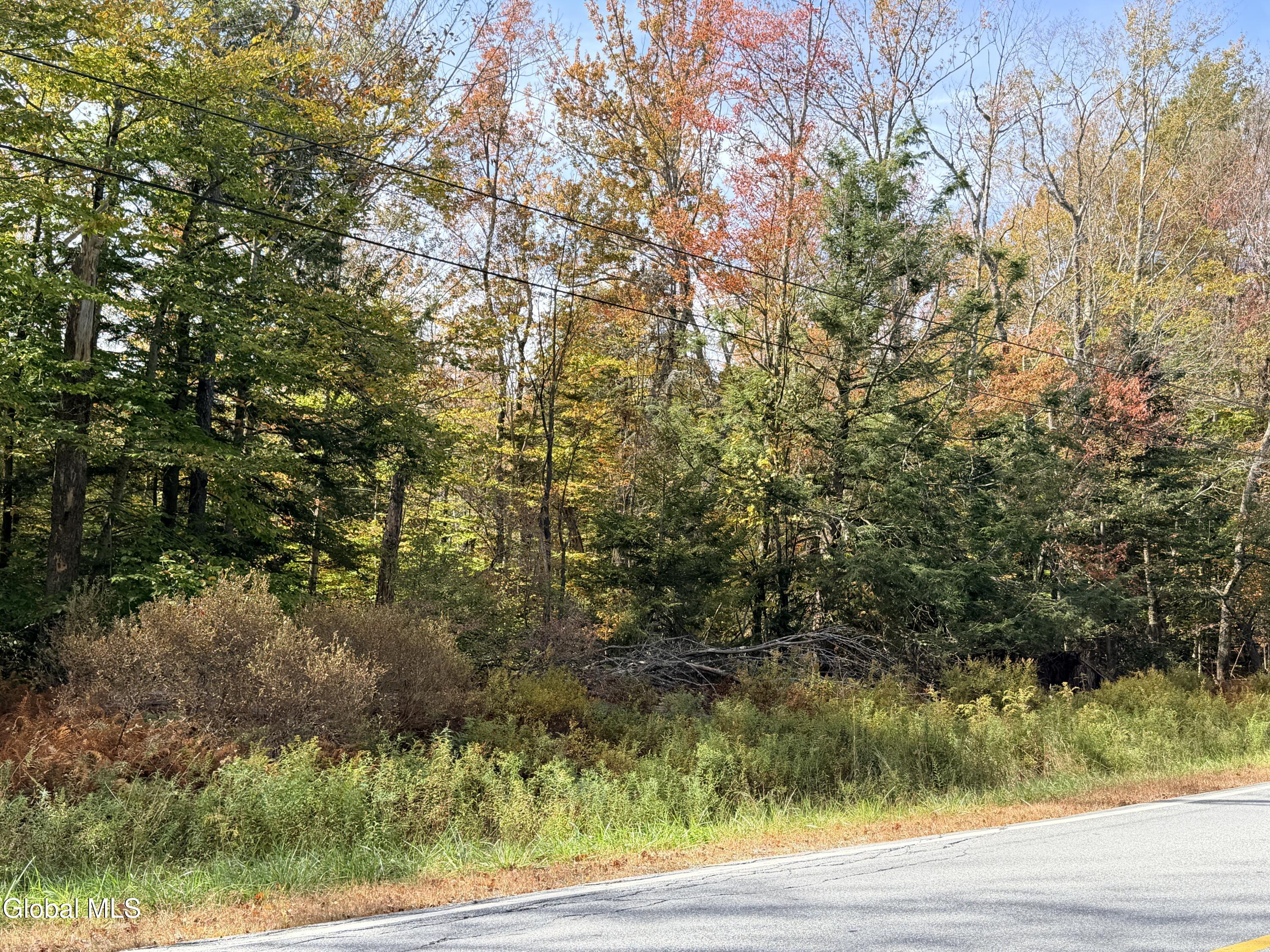 L25.12 Taconic Lake Road Petersburg, NY 12138 - Photo 8 of 60 IMG_0190