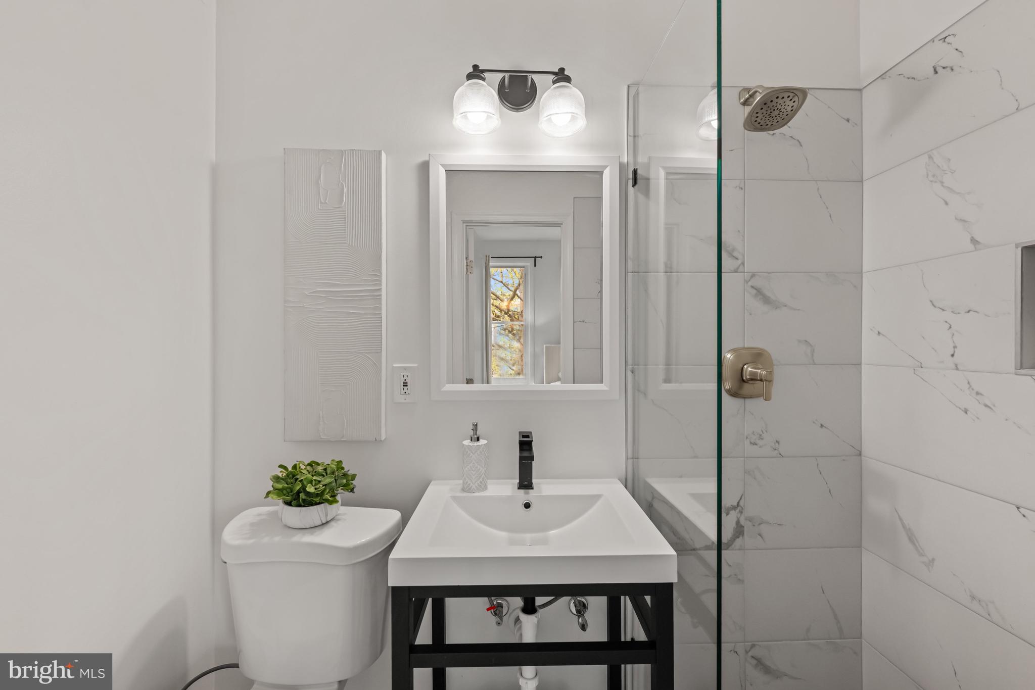 112 15th Street Southeast Washington, DC 20003 - Photo 10 of 18 En suite bathroom with walk-in shower