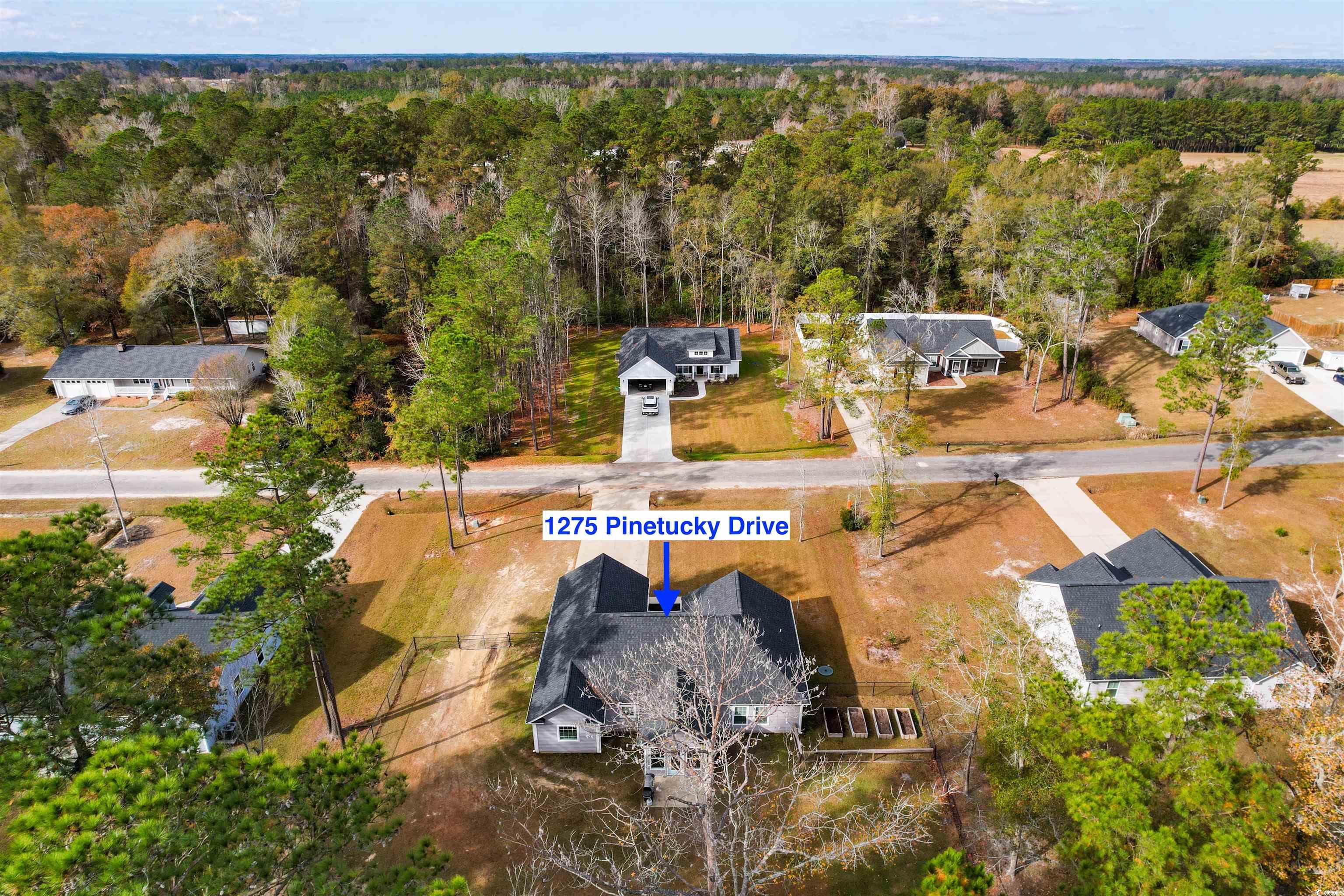 1275 Pinetucky Drive Galivants Ferry, SC 29544 - Photo 34 of 39 Aerial view