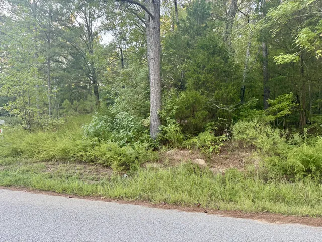 a view of a forest with a street