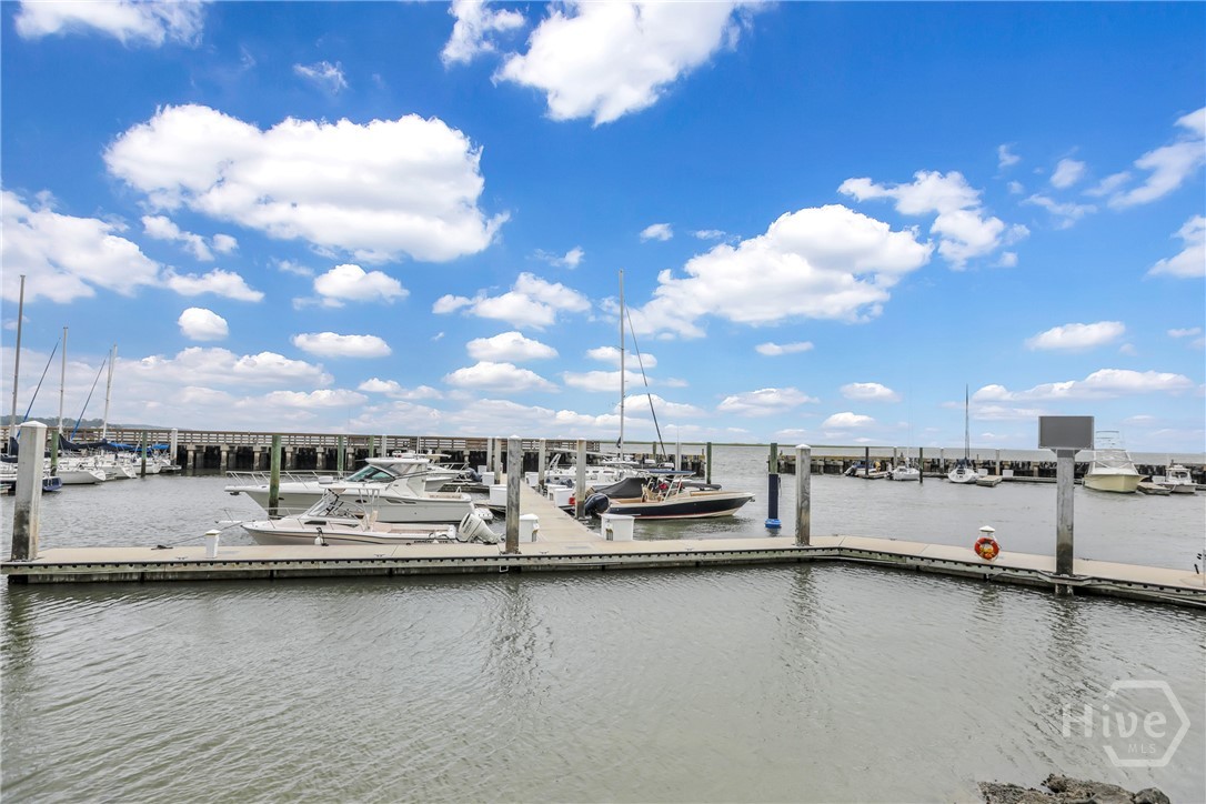 11 Monastery Road West Savannah, GA 31411 - Photo 48 of 50 The Landings Marina Dock