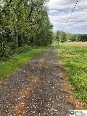 a view of a big yard with plants and large trees