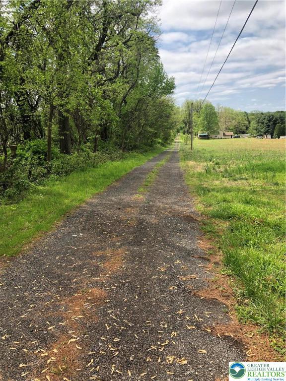 1931 Meadows Road Hellertown, PA 18055 - Photo 18 of 20 a view of a big yard with plants and large trees