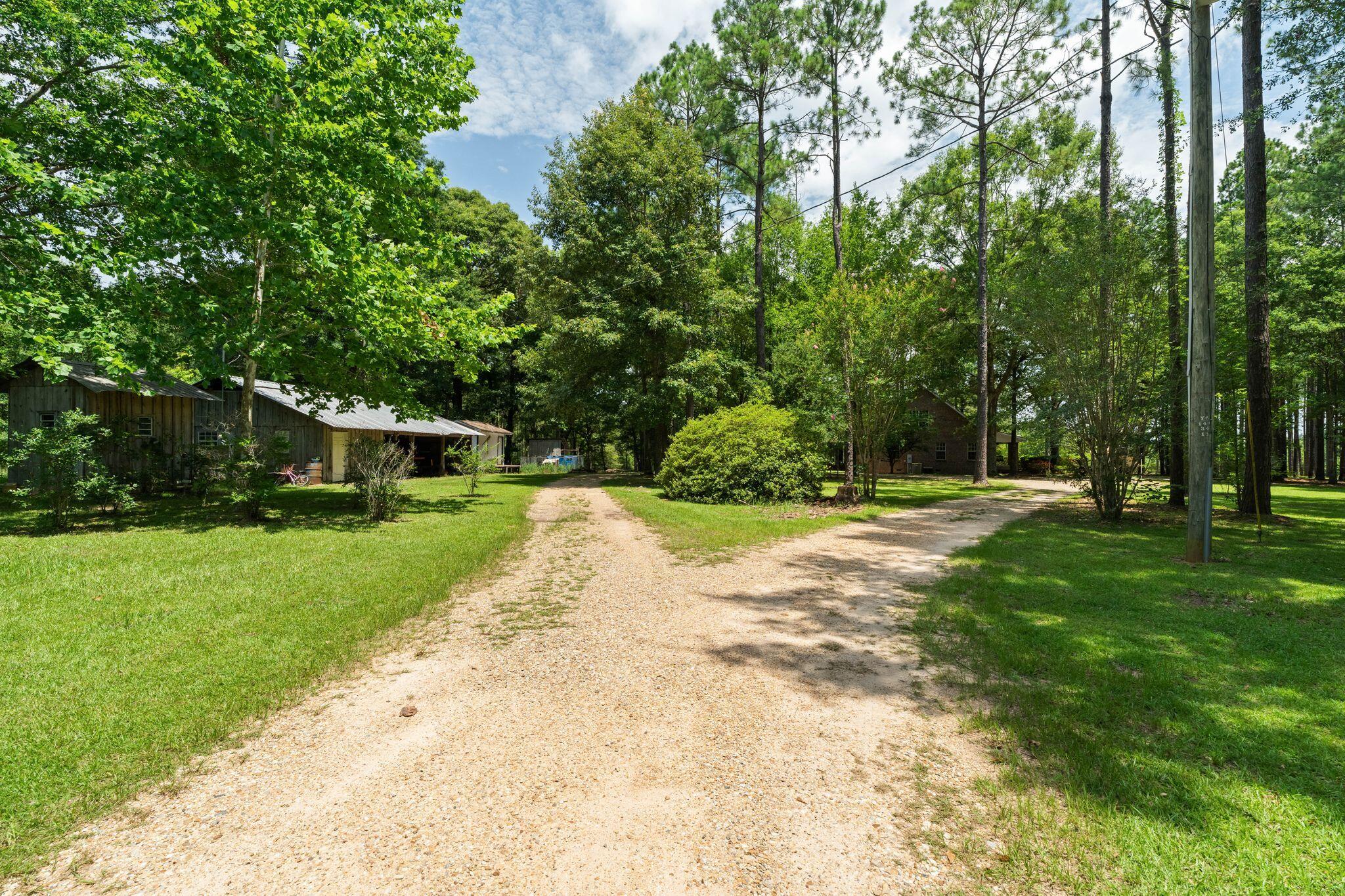 641 Lookout Tower Road Purvis, MS 39475 - Photo 6 of 62 Gallery Image 6