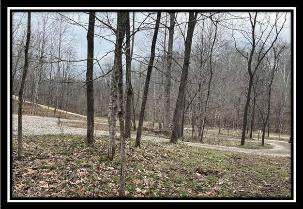 35471 Buck Run Road Langsville, OH 45741 - Photo 24 of 32