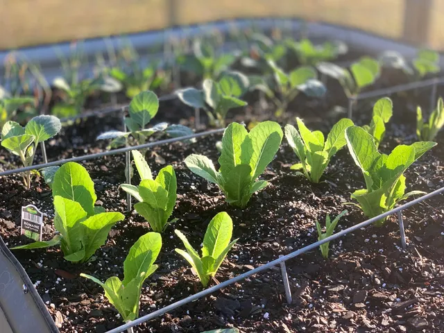 $744,000 | 195 Sandy Springs Circle, Walterboro, SC 29488