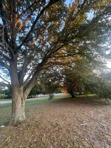 $744,000 | 195 Sandy Springs Circle, Walterboro, SC 29488