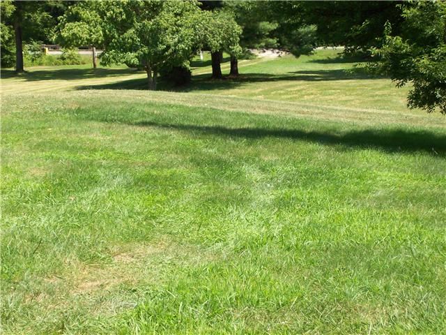 558 Grinder Creek Road Hohenwald, TN 38462 - Photo 16 of 20 Gallery Image 16