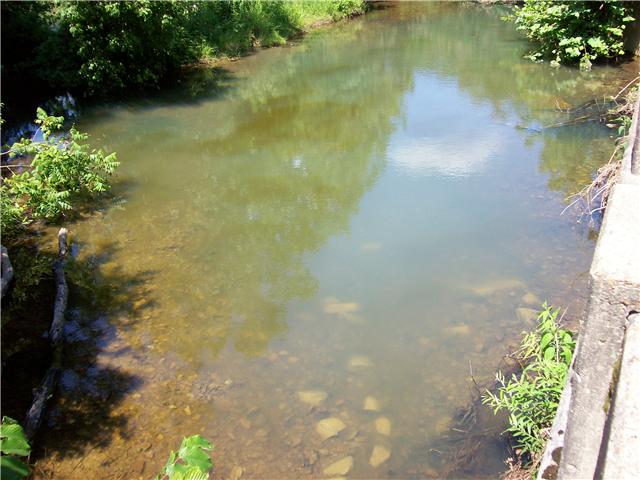 558 Grinder Creek Road Hohenwald, TN 38462 - Photo 19 of 20 Gallery Image 19