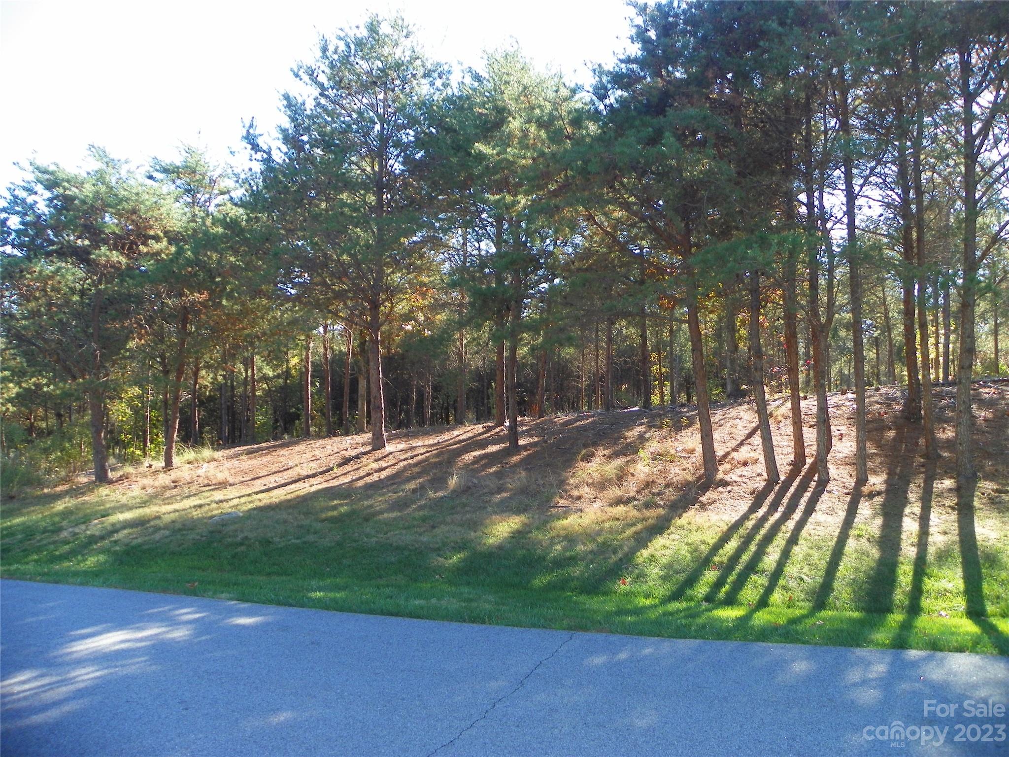 0 Baden View Road New London, NC 28127 - Photo 3 of 6 a view of a yard with plants and trees