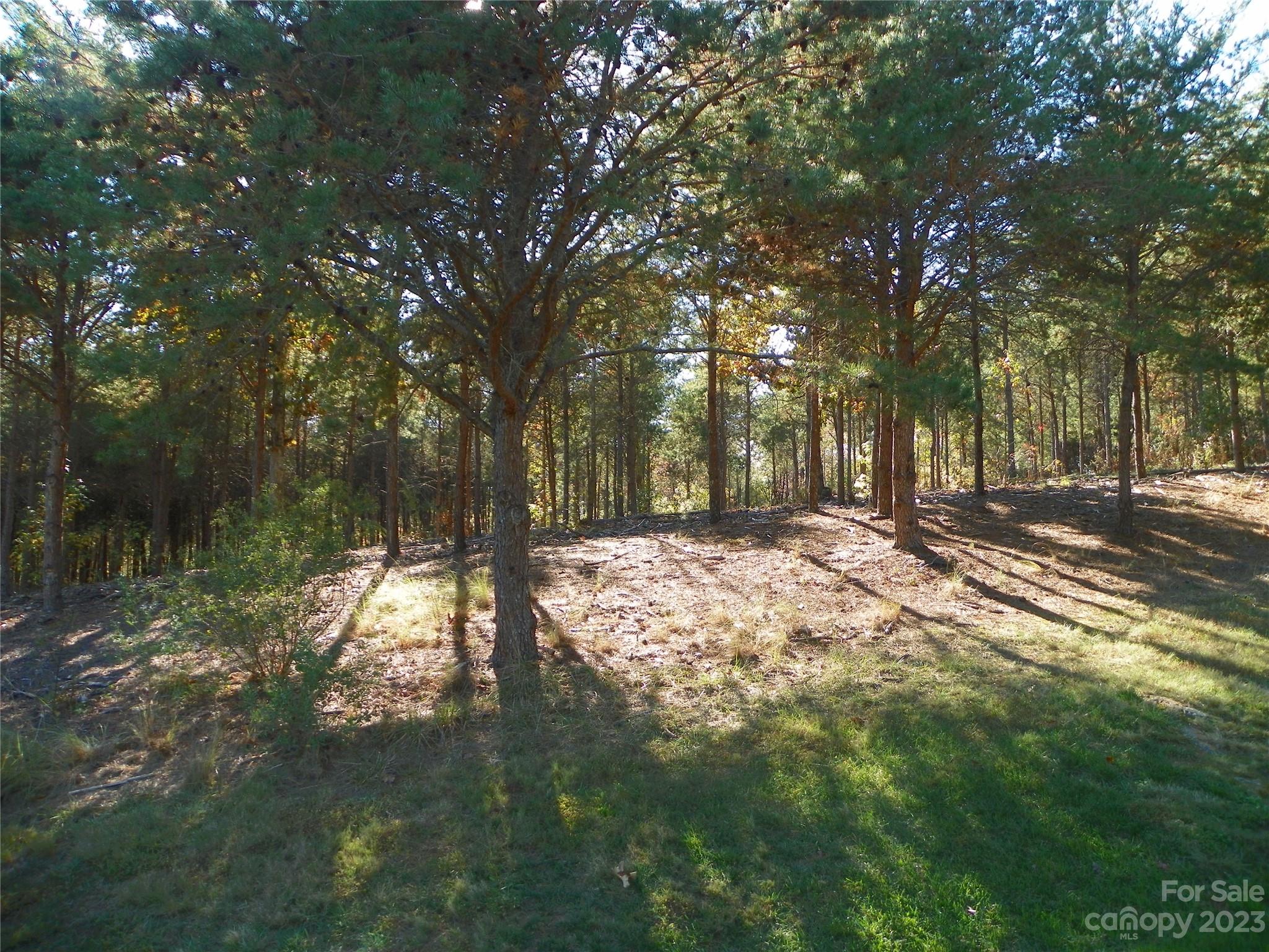 0 Baden View Road New London, NC 28127 - Photo 4 of 6 a view of outdoor space with trees