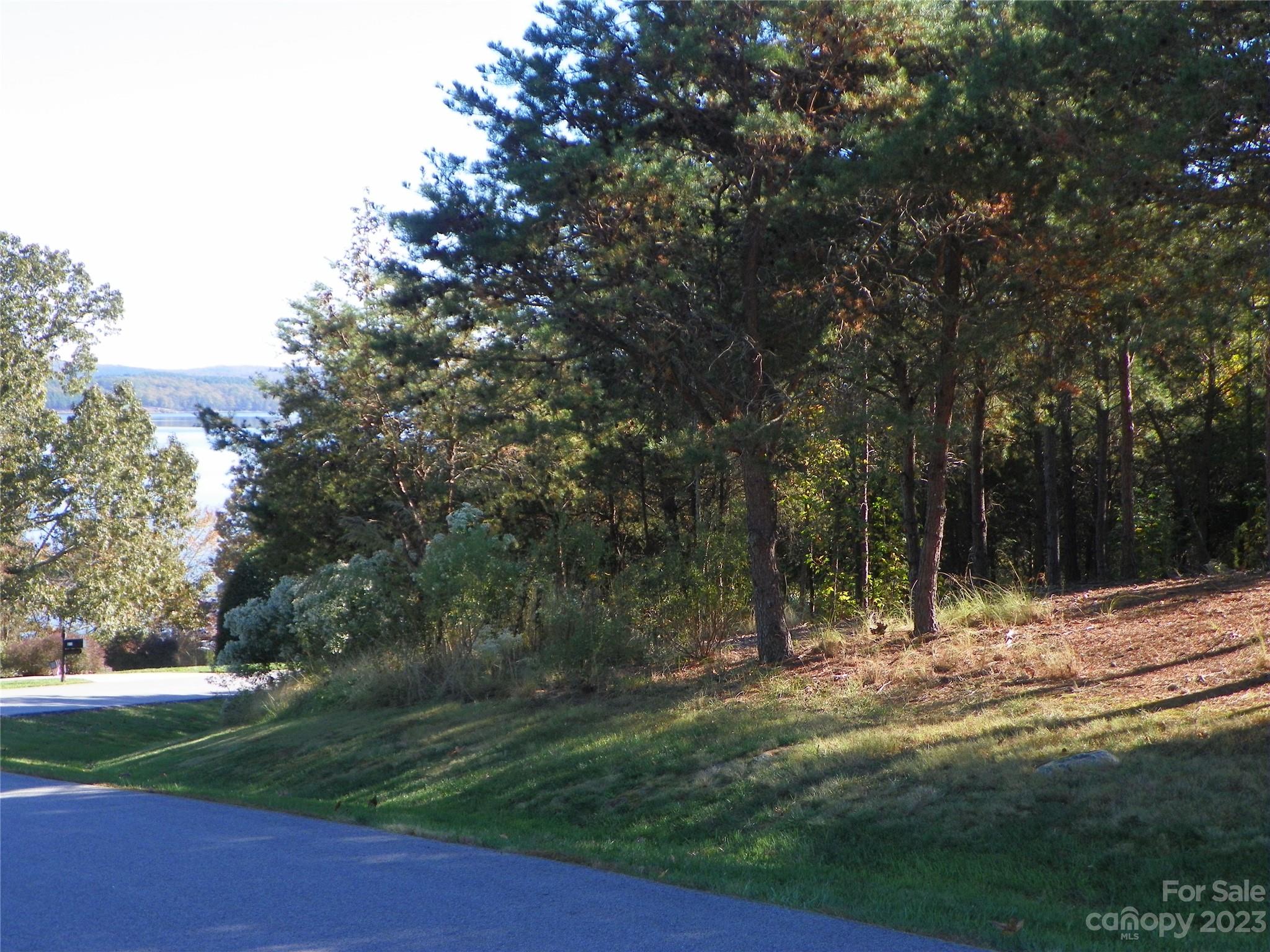 0 Baden View Road New London, NC 28127 - Photo 5 of 6 a view of a yard with a tree
