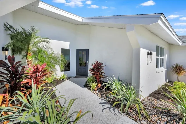 a potted plant sitting in front of a house