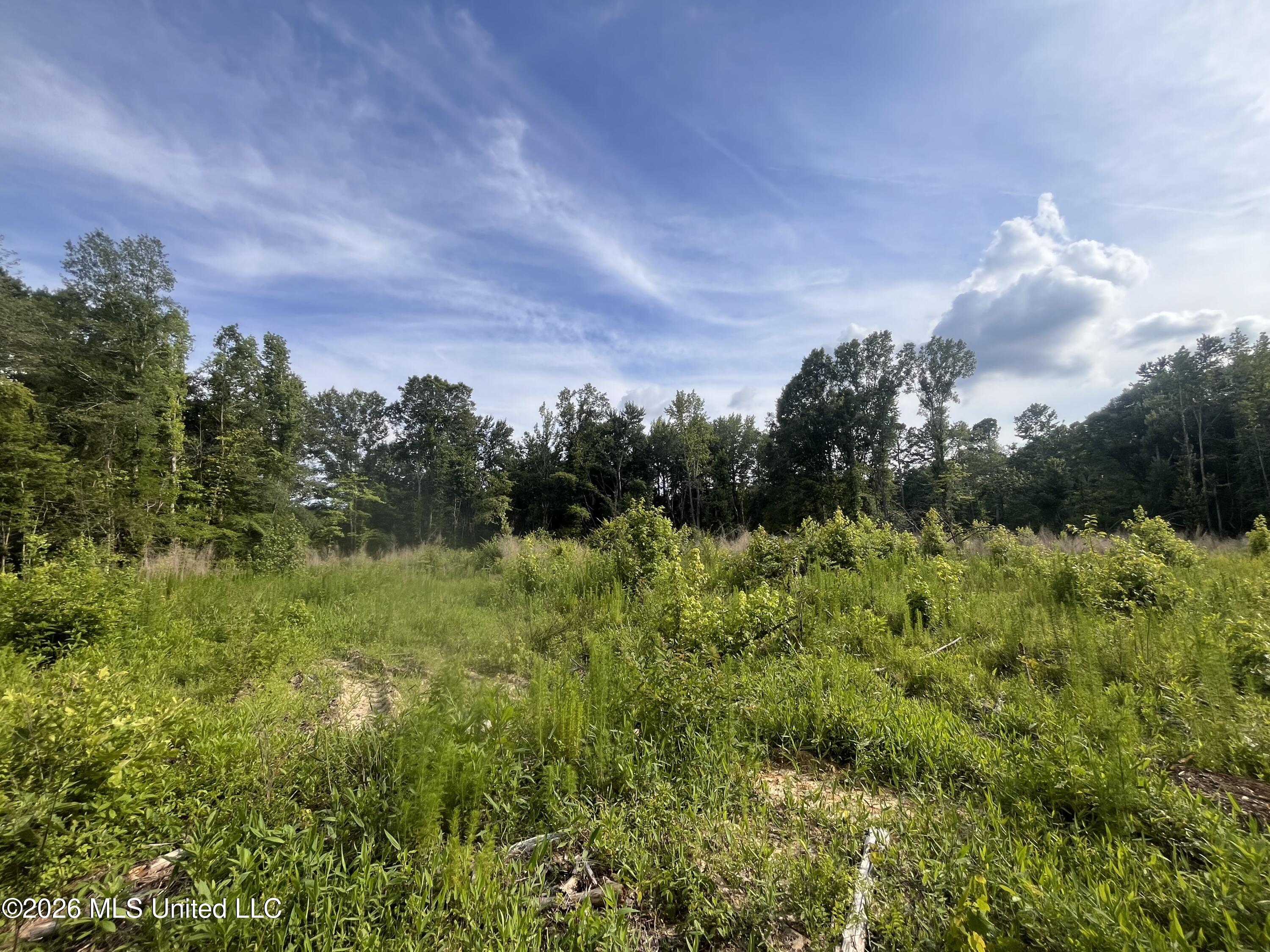 0 Pettey Road Forest, MS 39074 - Photo 2 of 15 IMG_4088