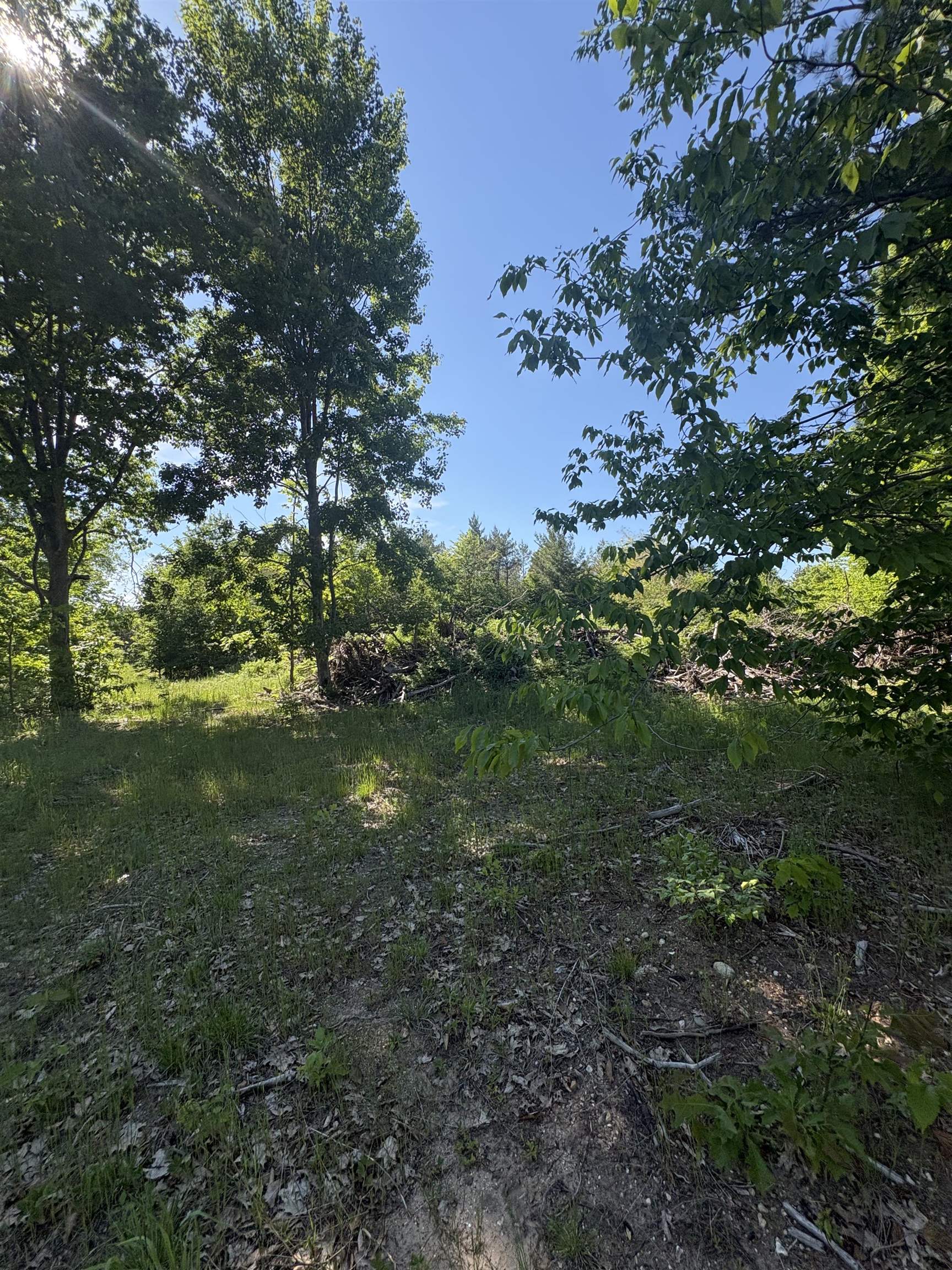 Parcel E St Johns Road Interlochen, MI 49643 - Photo 8 of 11