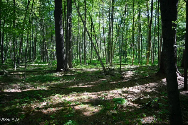 $385,000 | 77 Factoryville Road, Crown Point, NY 12928