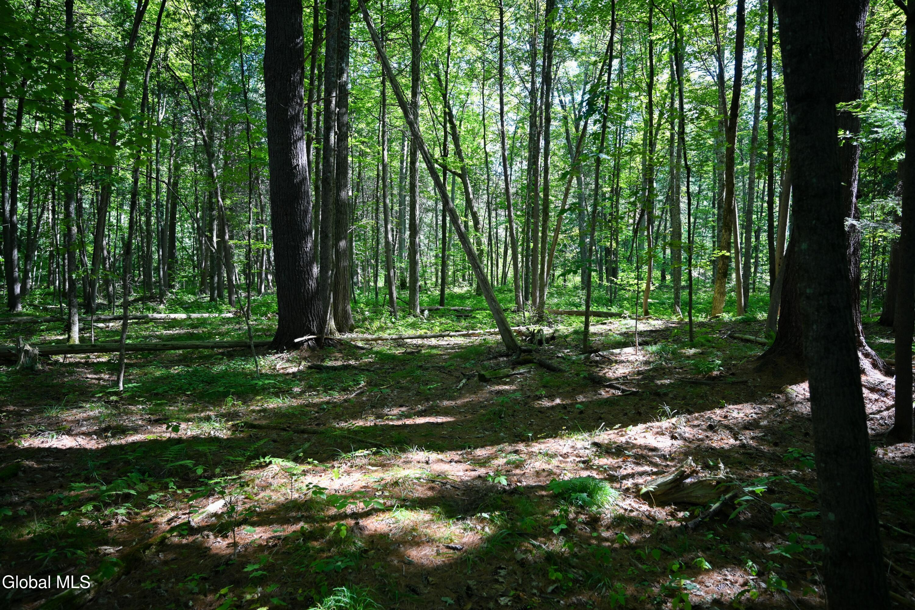 77 Factoryville Road Crown Point, NY 12928 - Photo 114 of 120 DSC_8264-2 (Copy)