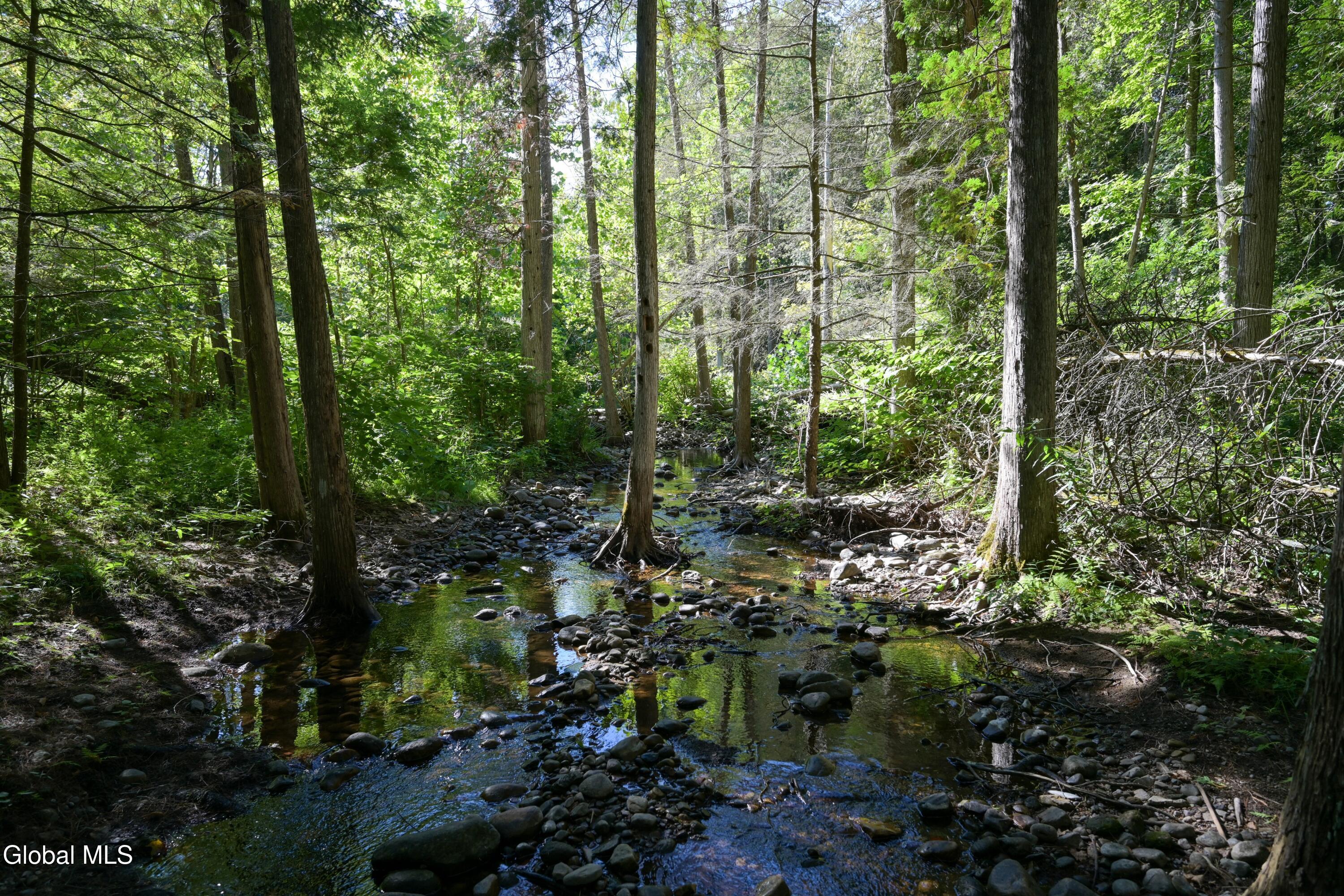 77 Factoryville Road Crown Point, NY 12928 - Photo 115 of 120 DSC_8269-2 (Copy)