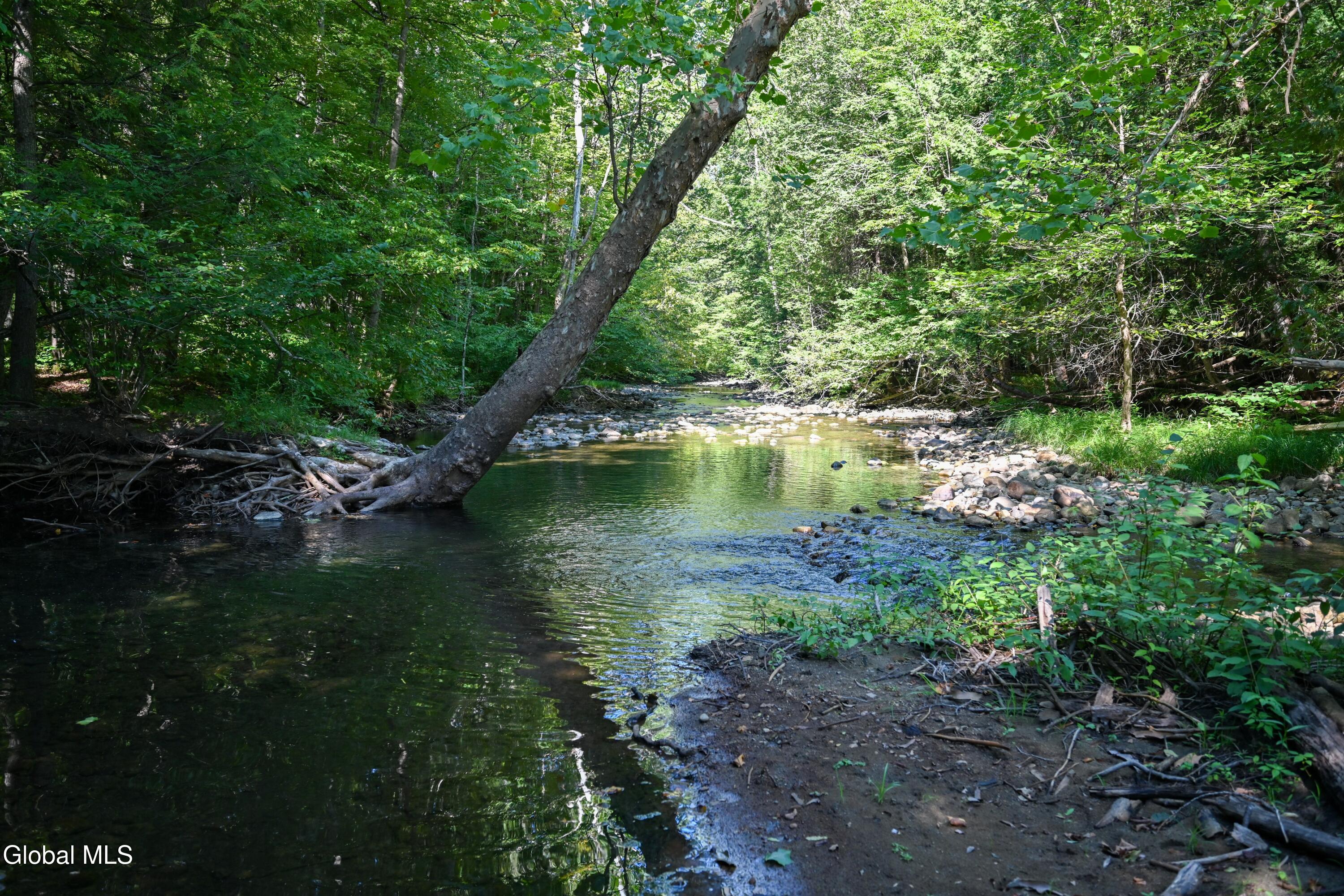 77 Factoryville Road Crown Point, NY 12928 - Photo 117 of 120 DSC_8276-2 (Copy)