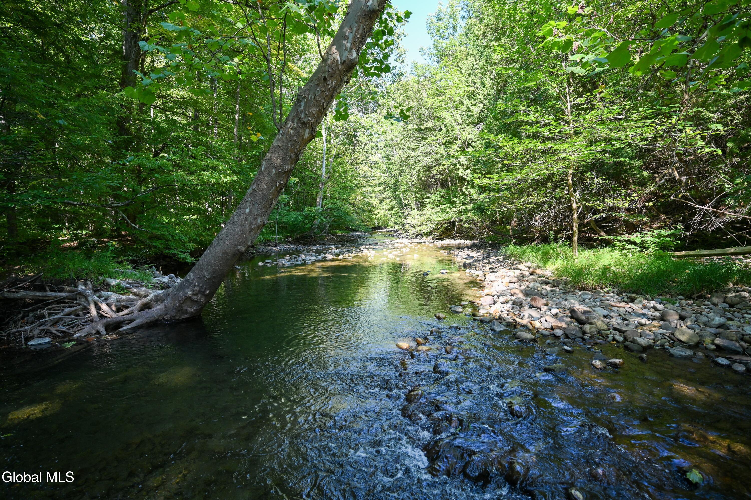 77 Factoryville Road Crown Point, NY 12928 - Photo 119 of 120 DSC_8282-2 (Copy)