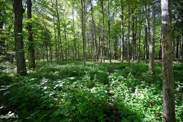 $385,000 | 77 Factoryville Road, Crown Point, NY 12928