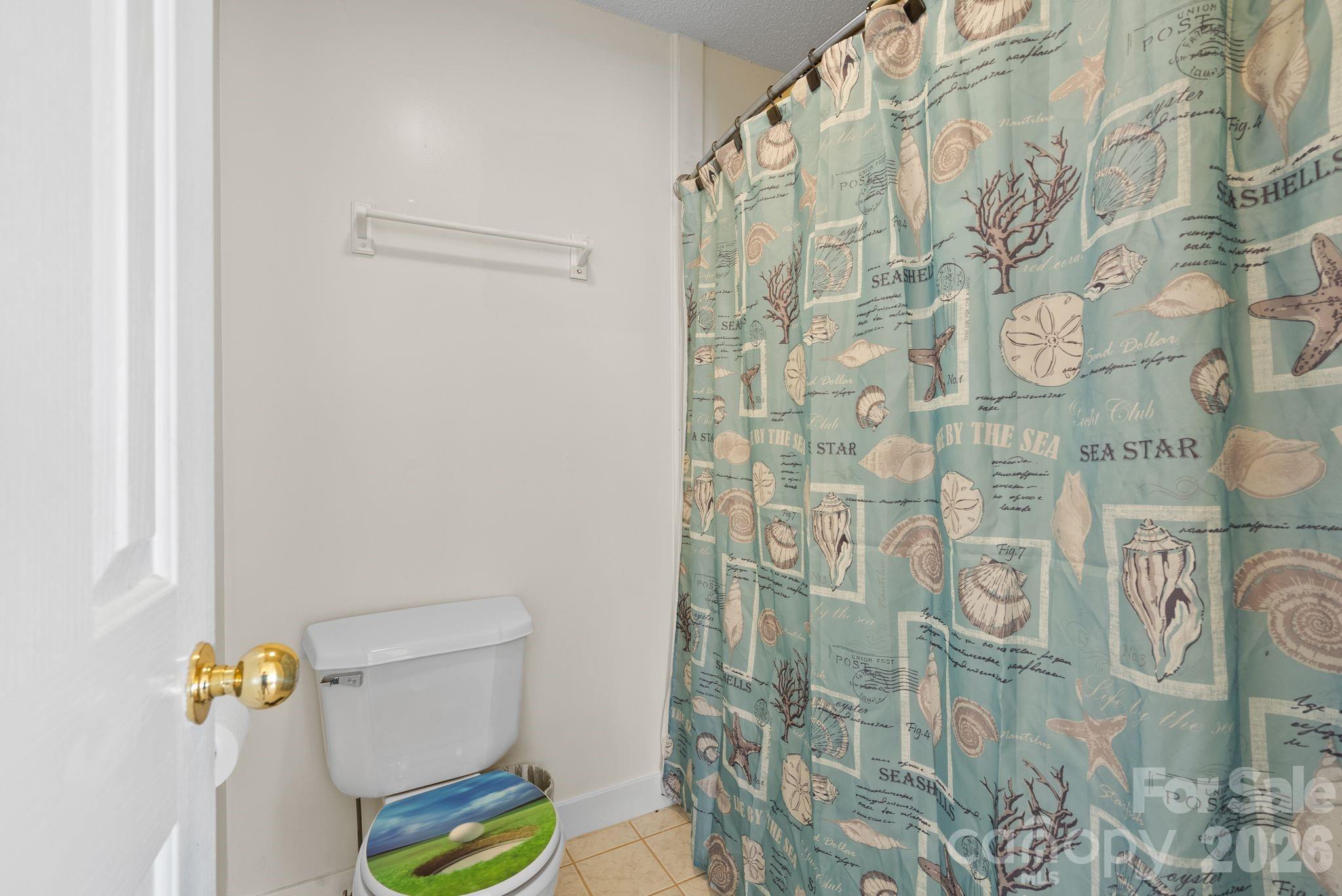299 Blue Ridge Drive South, Unit 1 Marion, NC 28752 - Photo 15 of 21