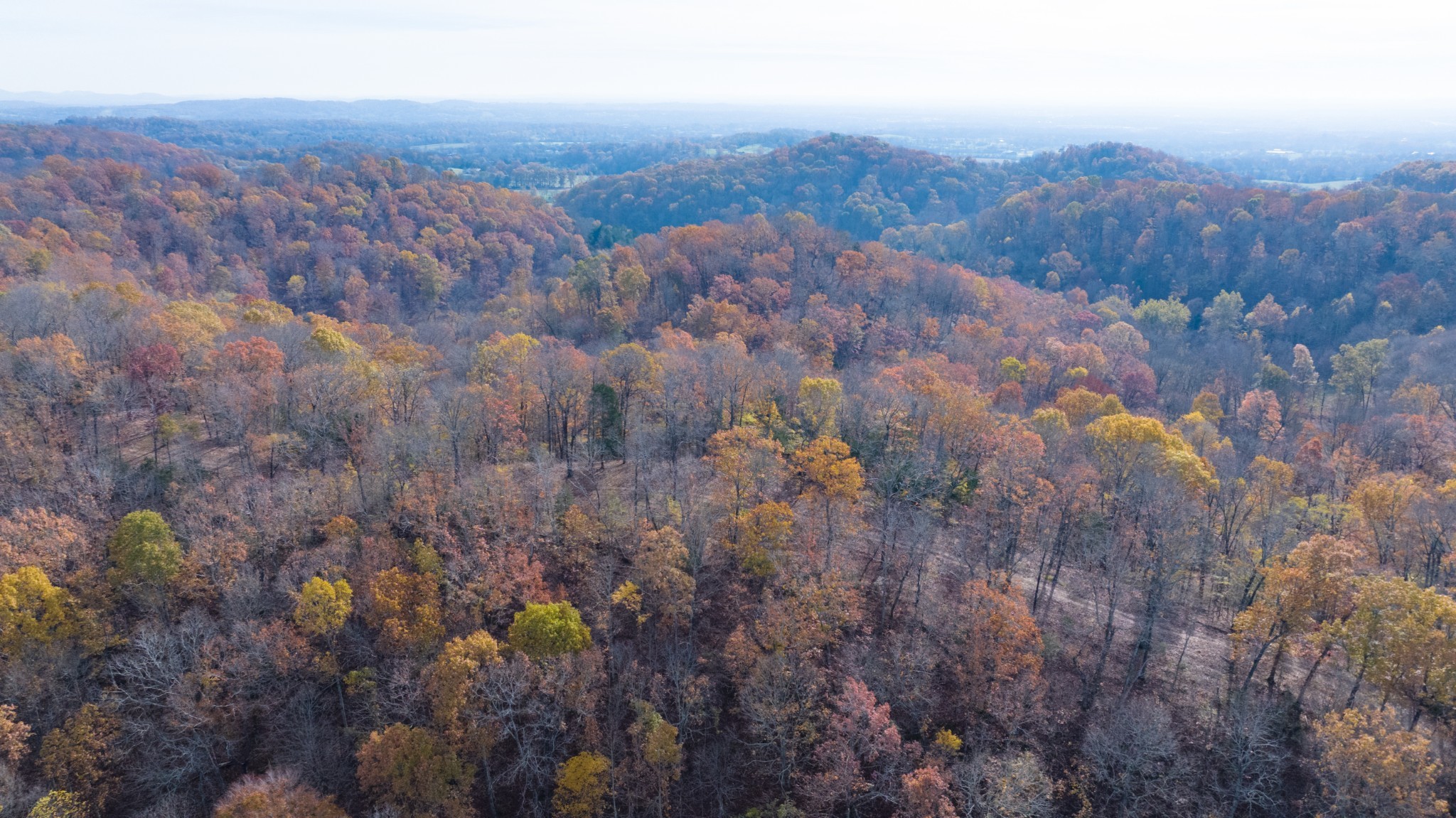 10 Brazier Lane Gallatin, TN 37066 - Photo 4 of 8