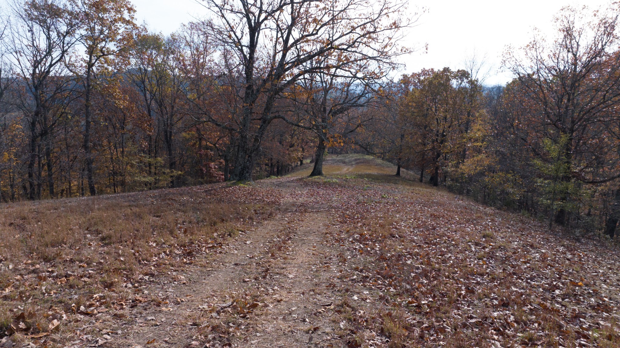 10 Brazier Lane Gallatin, TN 37066 - Photo 5 of 8