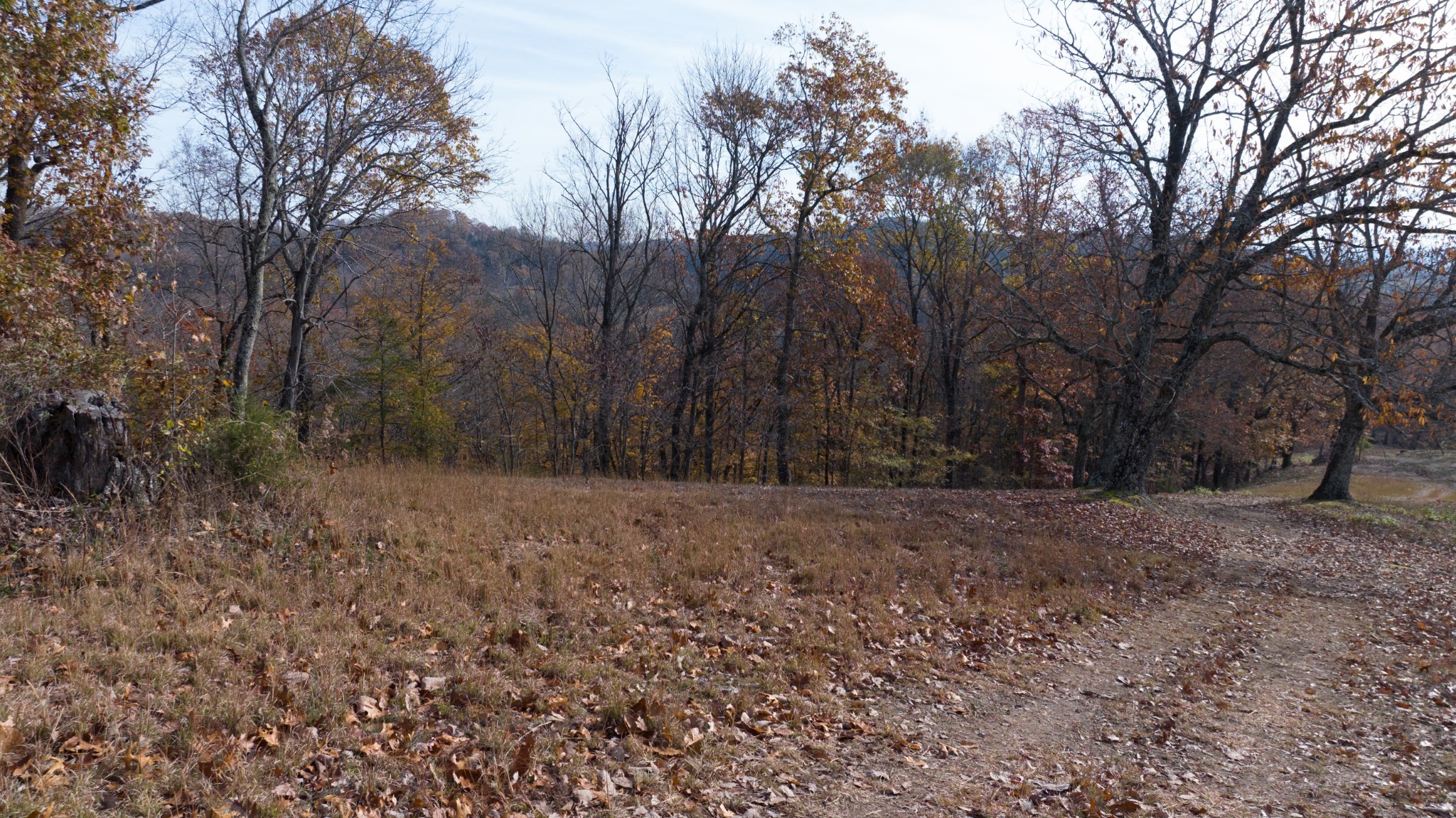 10 Brazier Lane Gallatin, TN 37066 - Photo 7 of 8