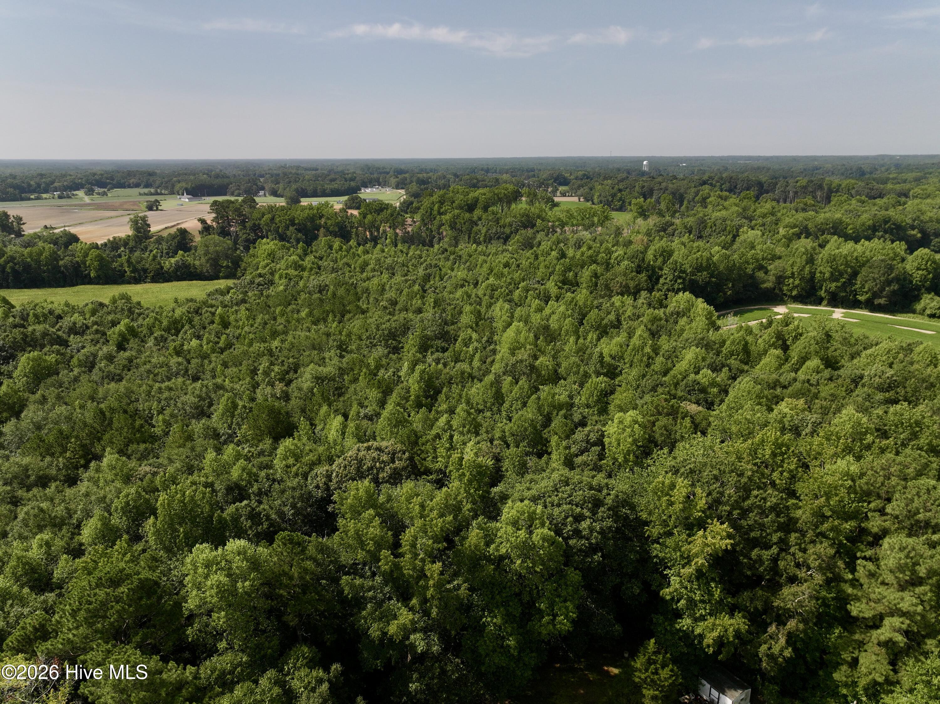 Lot 2 Mobley Road Lucama, NC 27851 - Photo 11 of 20 Gallery Image 11