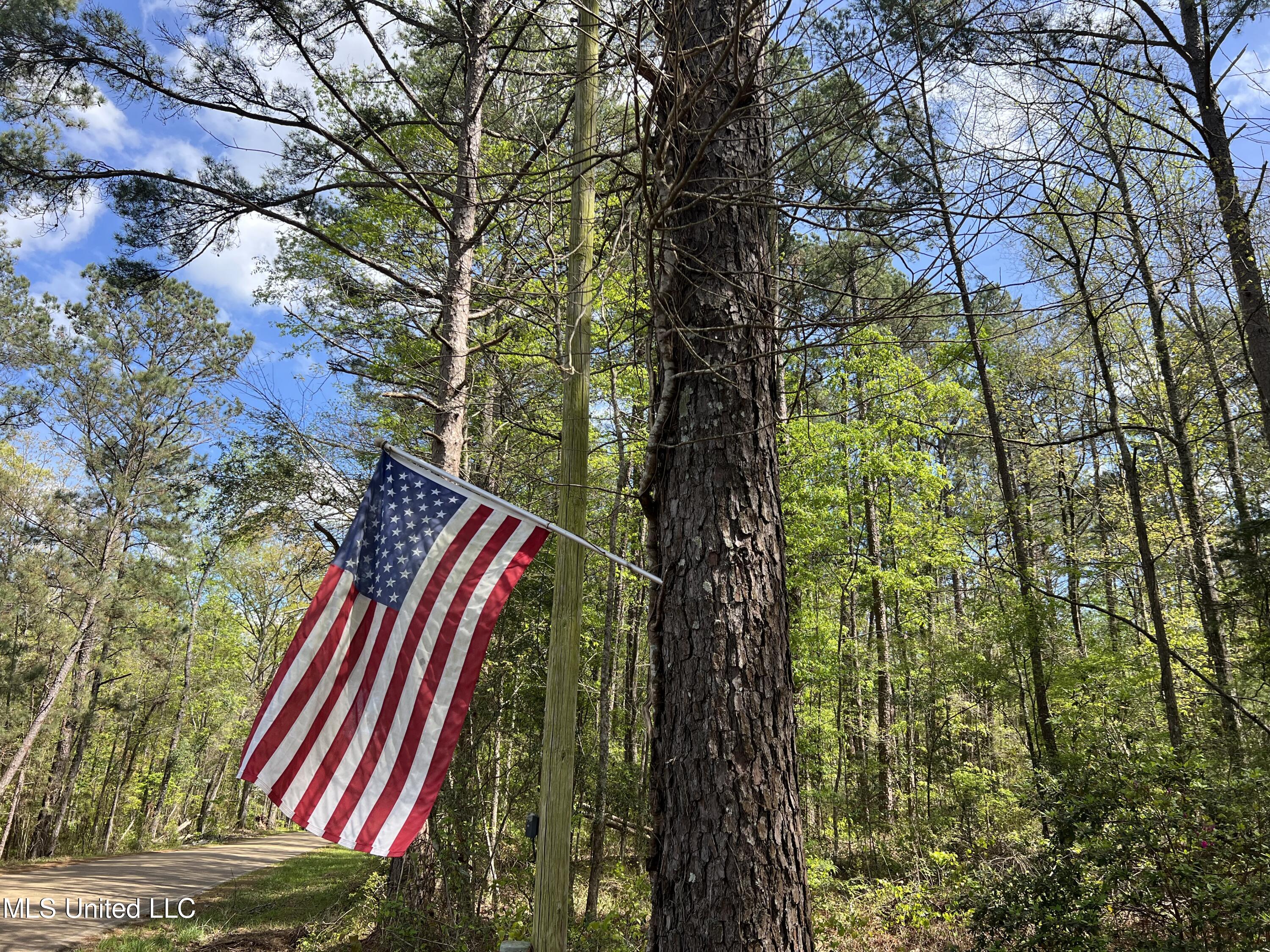 6118 King Road Wesson, MS 39191 - Photo 2 of 52 34285E99-E53A-4ED4-A919-95EA8414BD8F