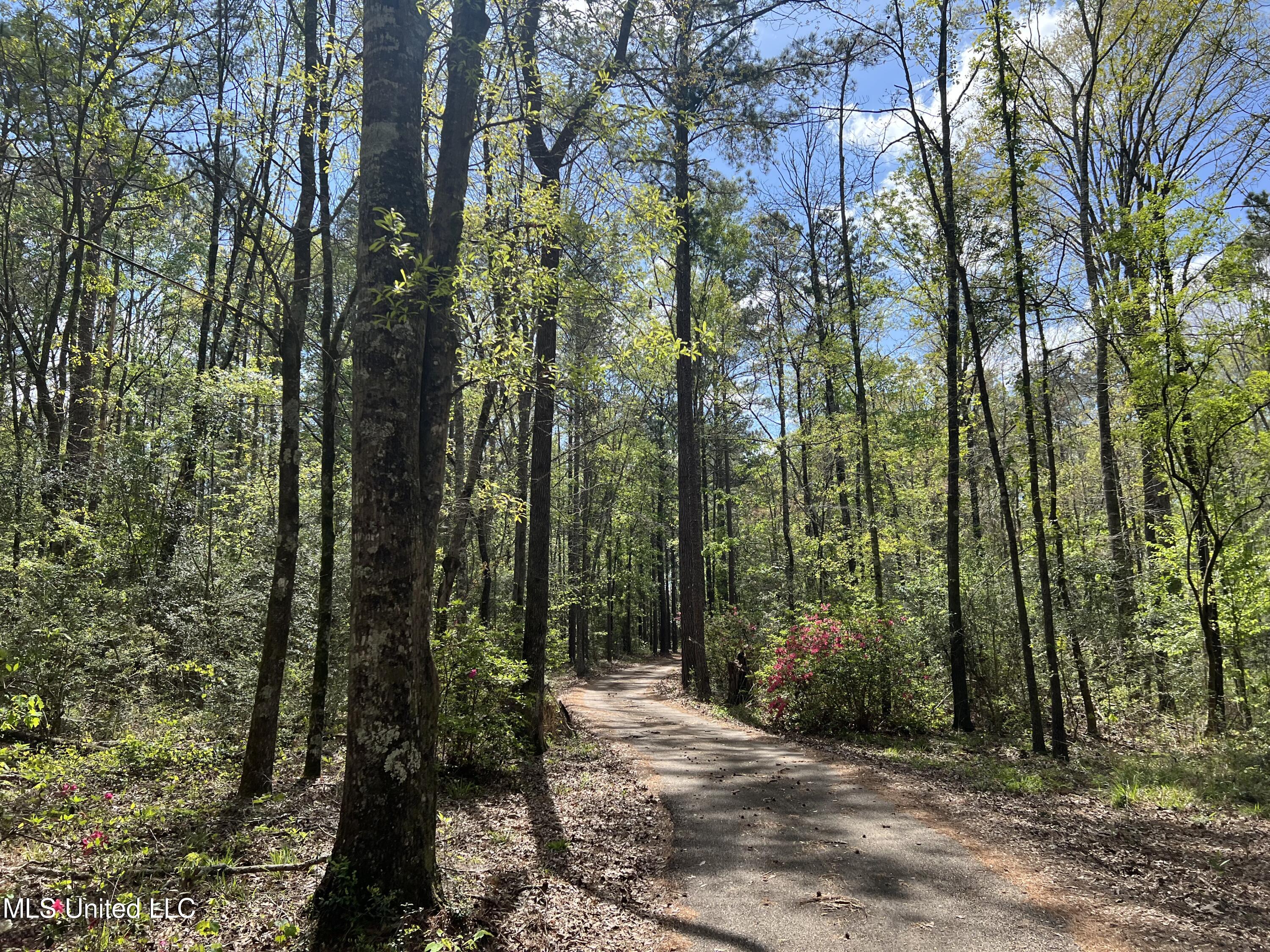 6118 King Road Wesson, MS 39191 - Photo 3 of 52 7072FE72-8E3B-4EB9-8420-66BF660ED3FF