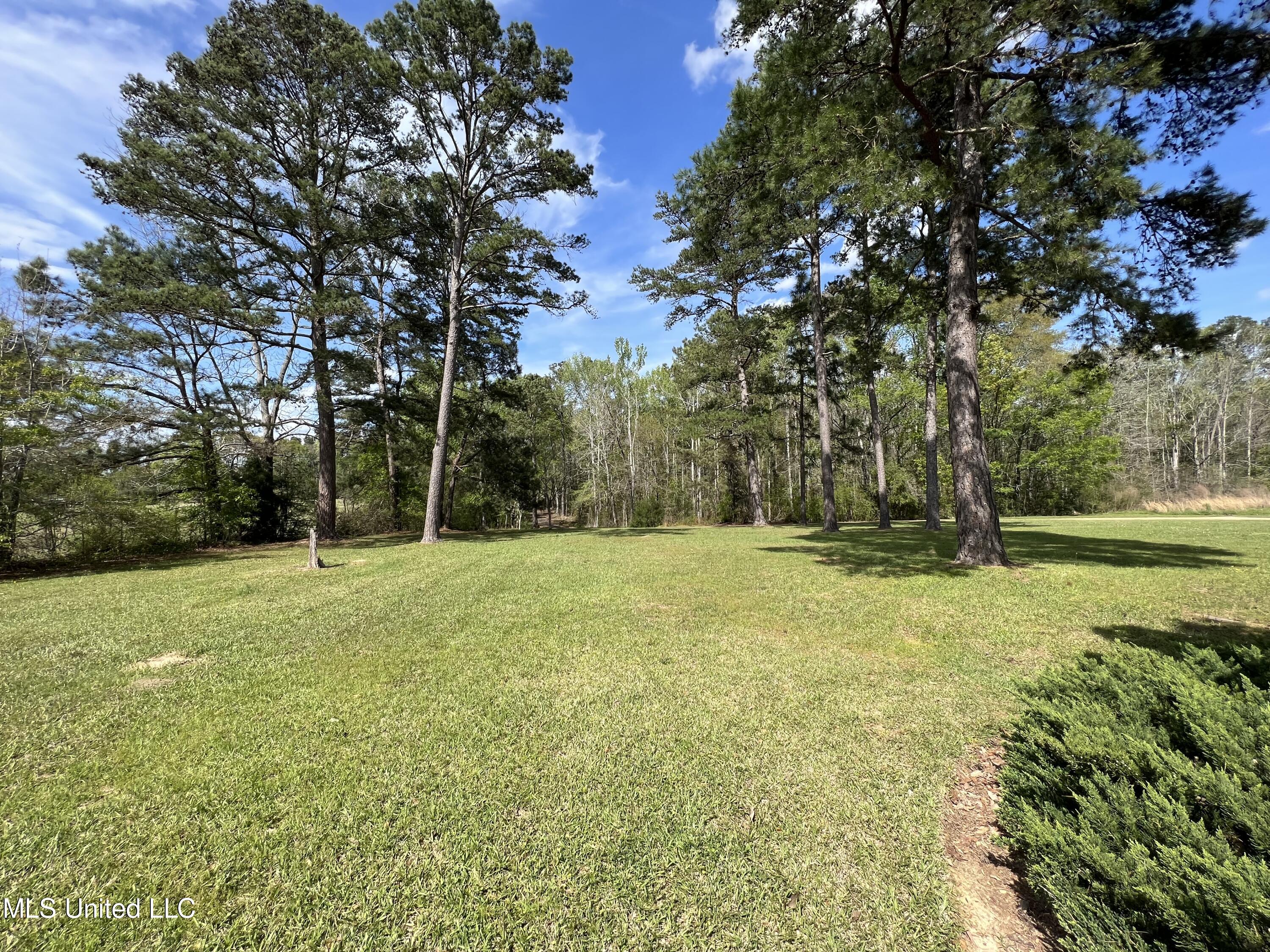 6118 King Road Wesson, MS 39191 - Photo 45 of 52 7A4F14A3-9A74-42AF-81B2-6D8B3FF937F8