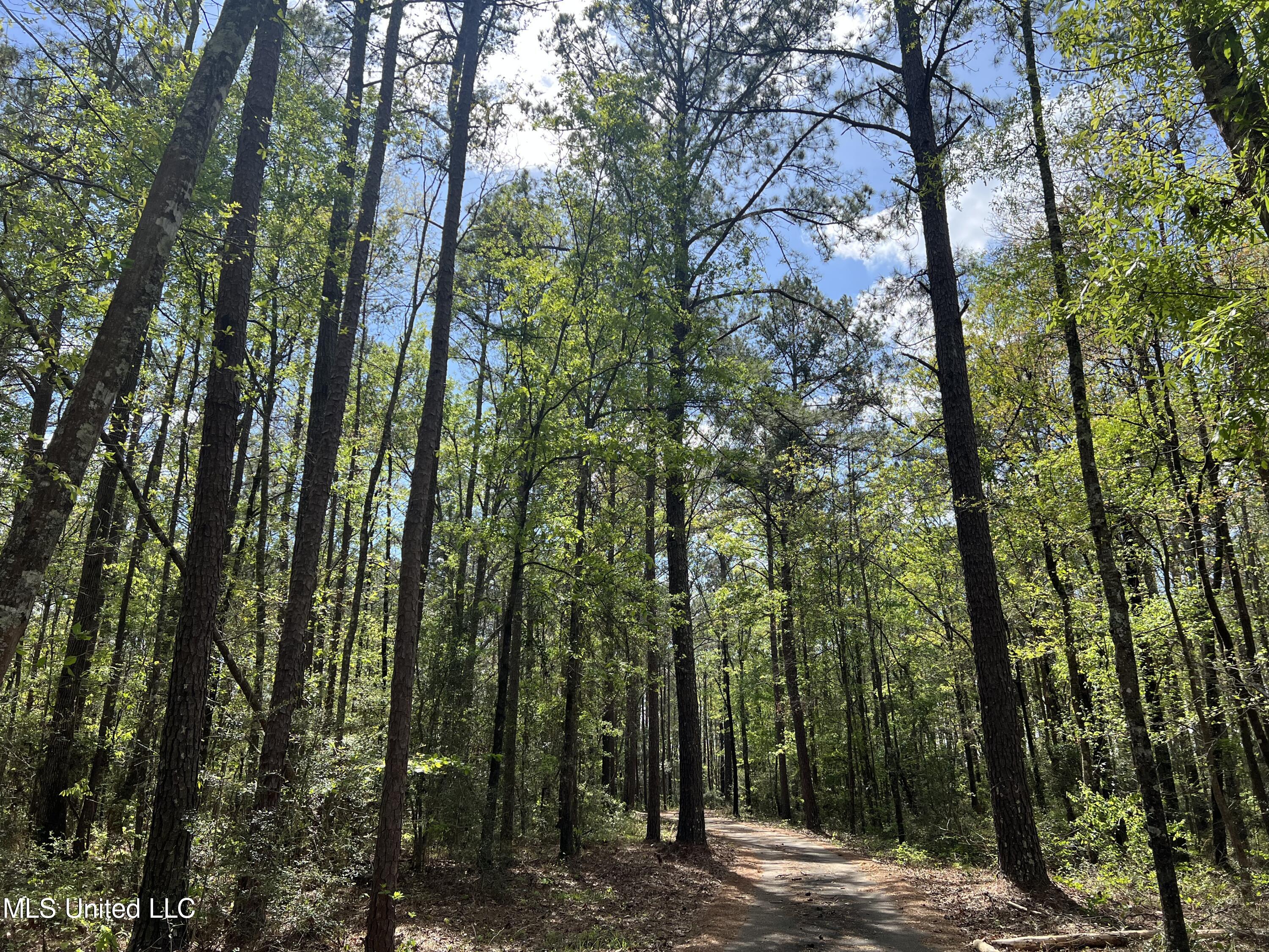 6118 King Road Wesson, MS 39191 - Photo 5 of 52 BEB7617D-4A5A-41E7-8232-FD785017EA5B