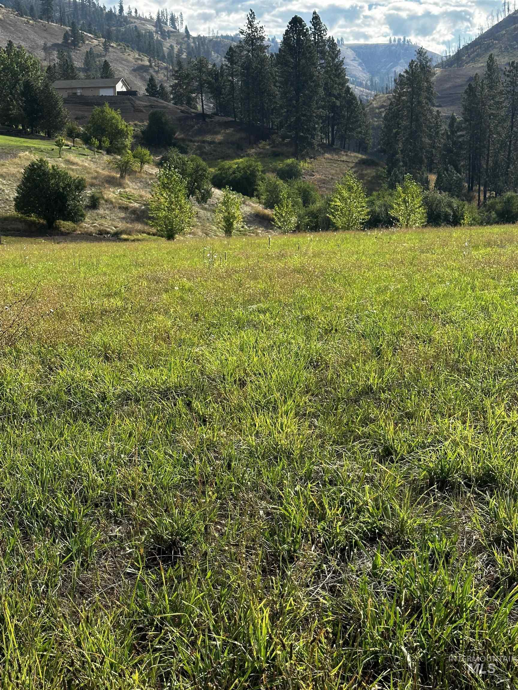 Tbd Austree Lane Kamiah, ID 83536 - Photo 4 of 9