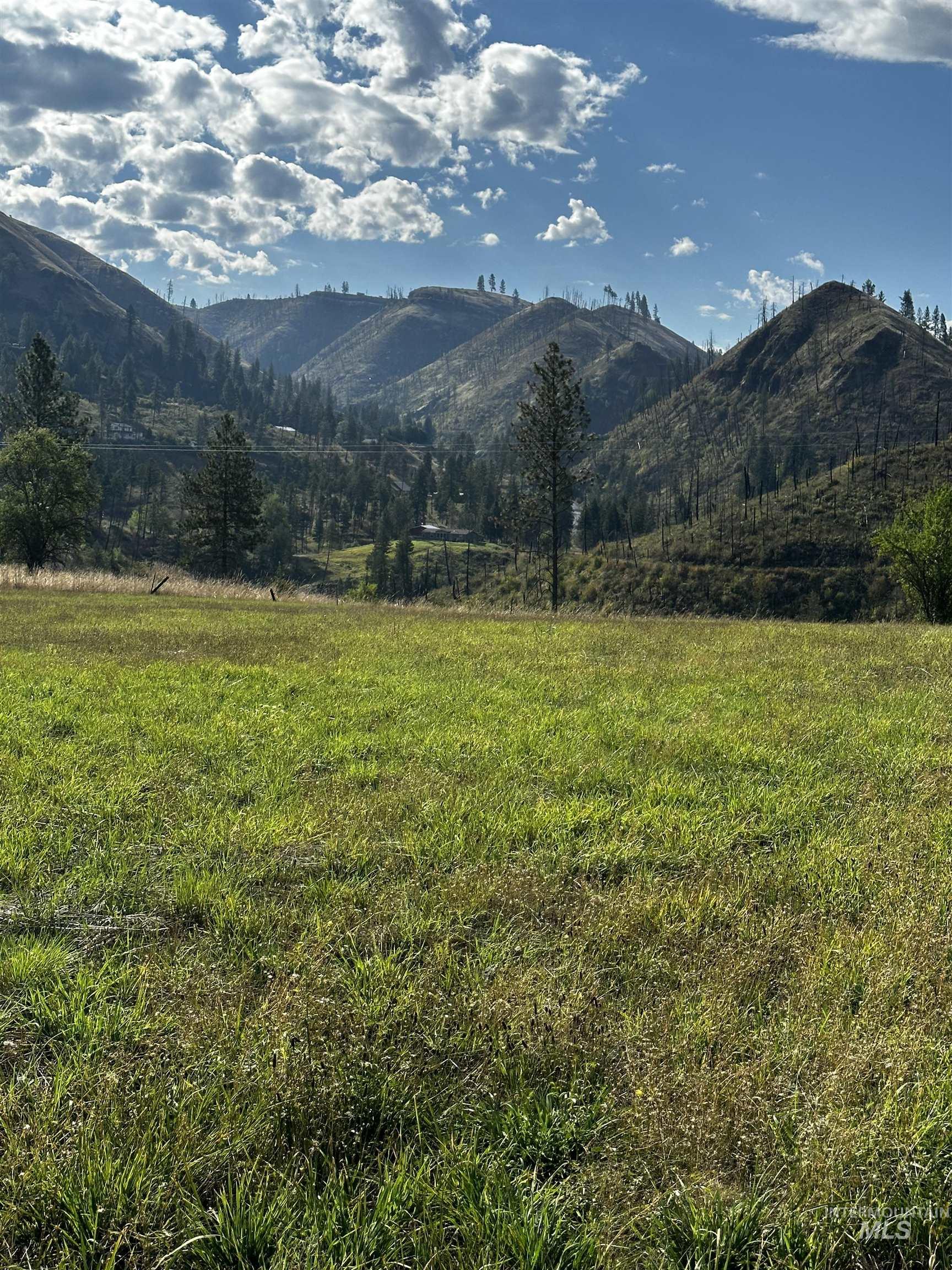 Tbd Austree Lane Kamiah, ID 83536 - Photo 5 of 9