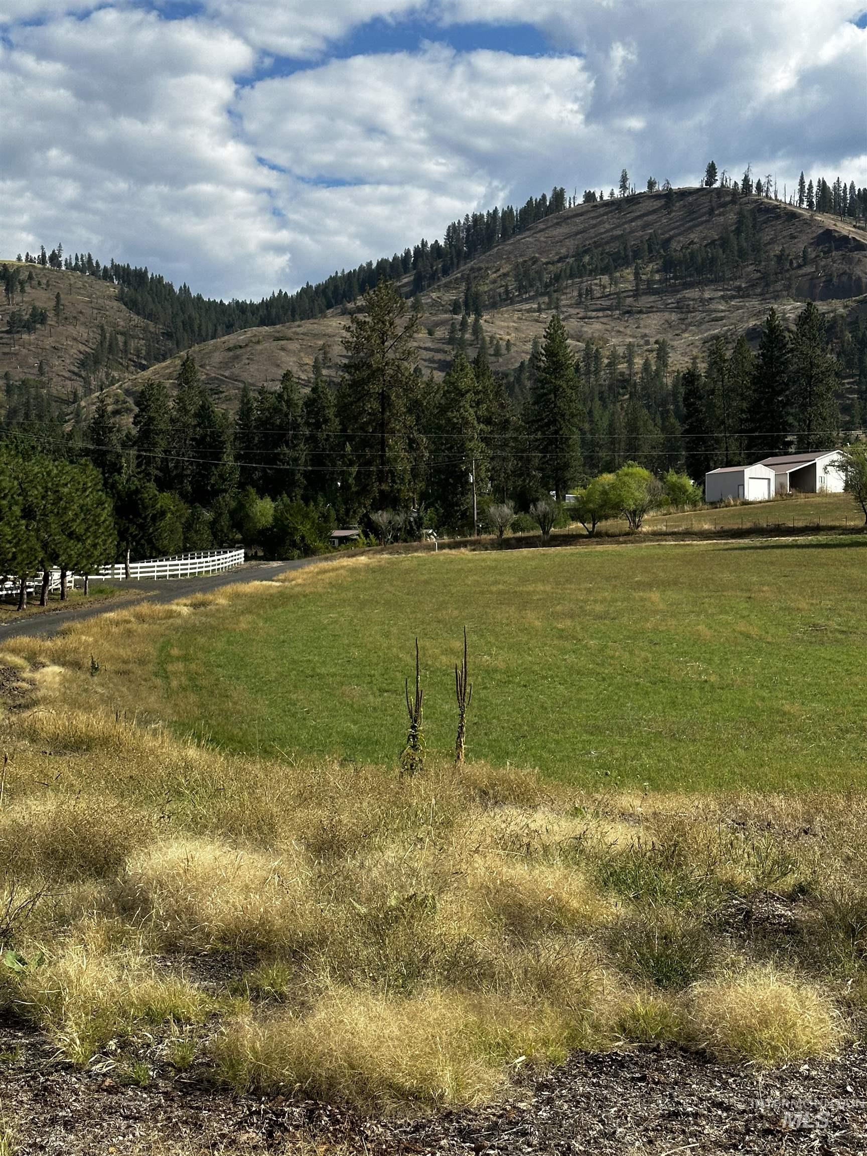 Tbd Austree Lane Kamiah, ID 83536 - Photo 6 of 9