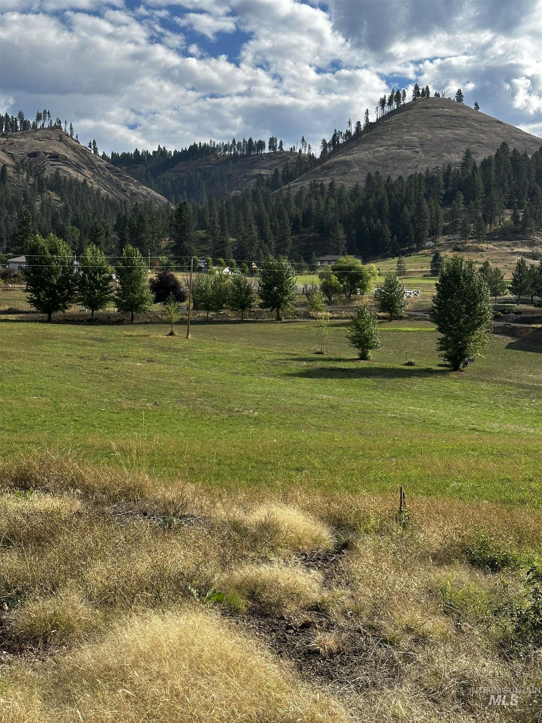 Tbd Austree Lane Kamiah, ID 83536 - Photo 7 of 9