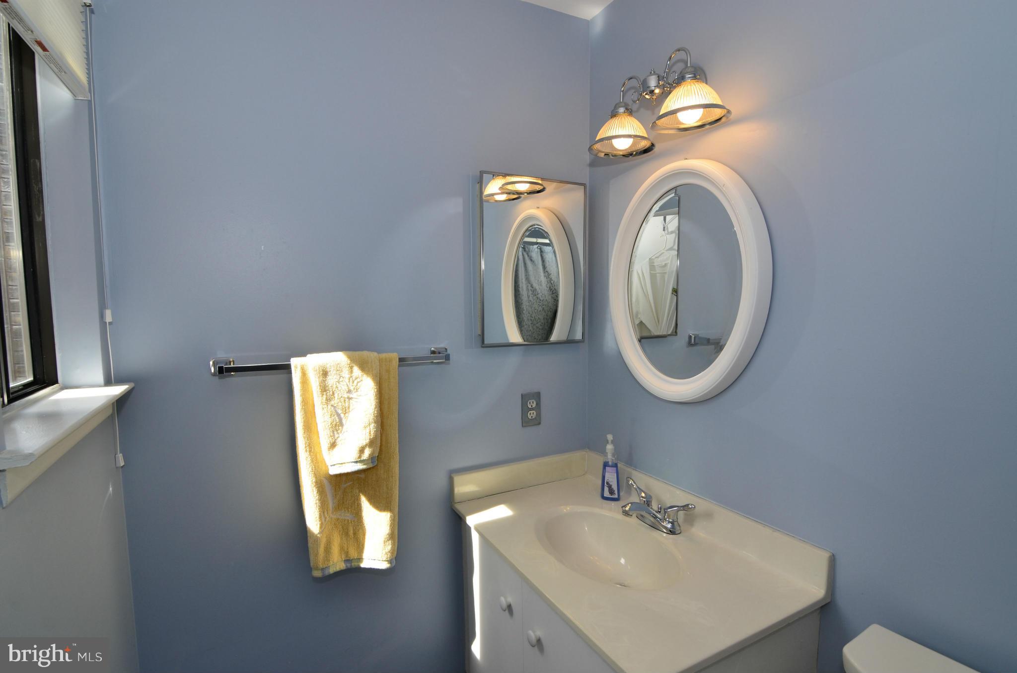 2161 Cabots Point Lane Reston, VA 20191 - Photo 14 of 26 a bathroom with a sink and a mirror