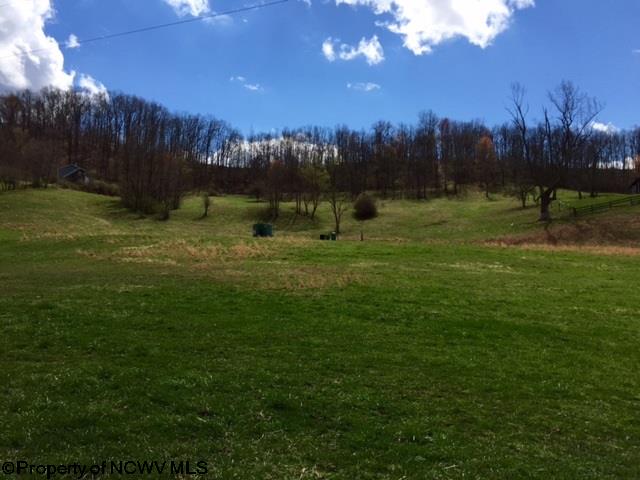 1164 Claylick Run Road Jane Lew, WV 26378 - Photo 20 of 20 Gallery Image 20