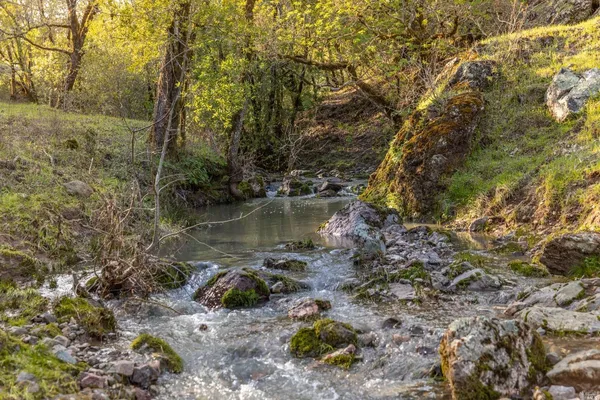 $7,900,000 | 5285 Westside Road, Healdsburg, CA 95448