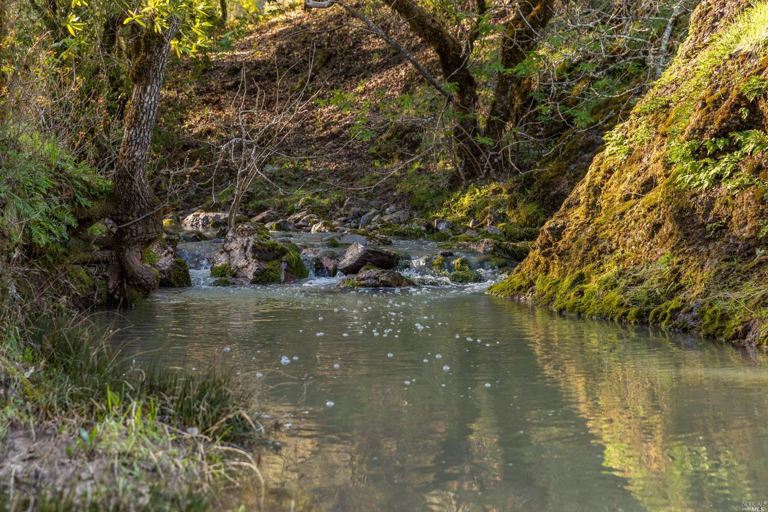 5285 Westside Road Healdsburg, CA 95448 - Photo 14 of 58