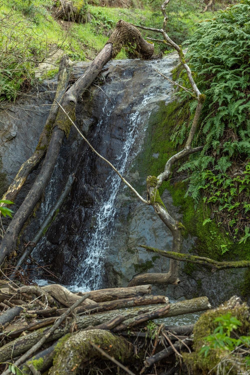 5285 Westside Road Healdsburg, CA 95448 - Photo 16 of 58