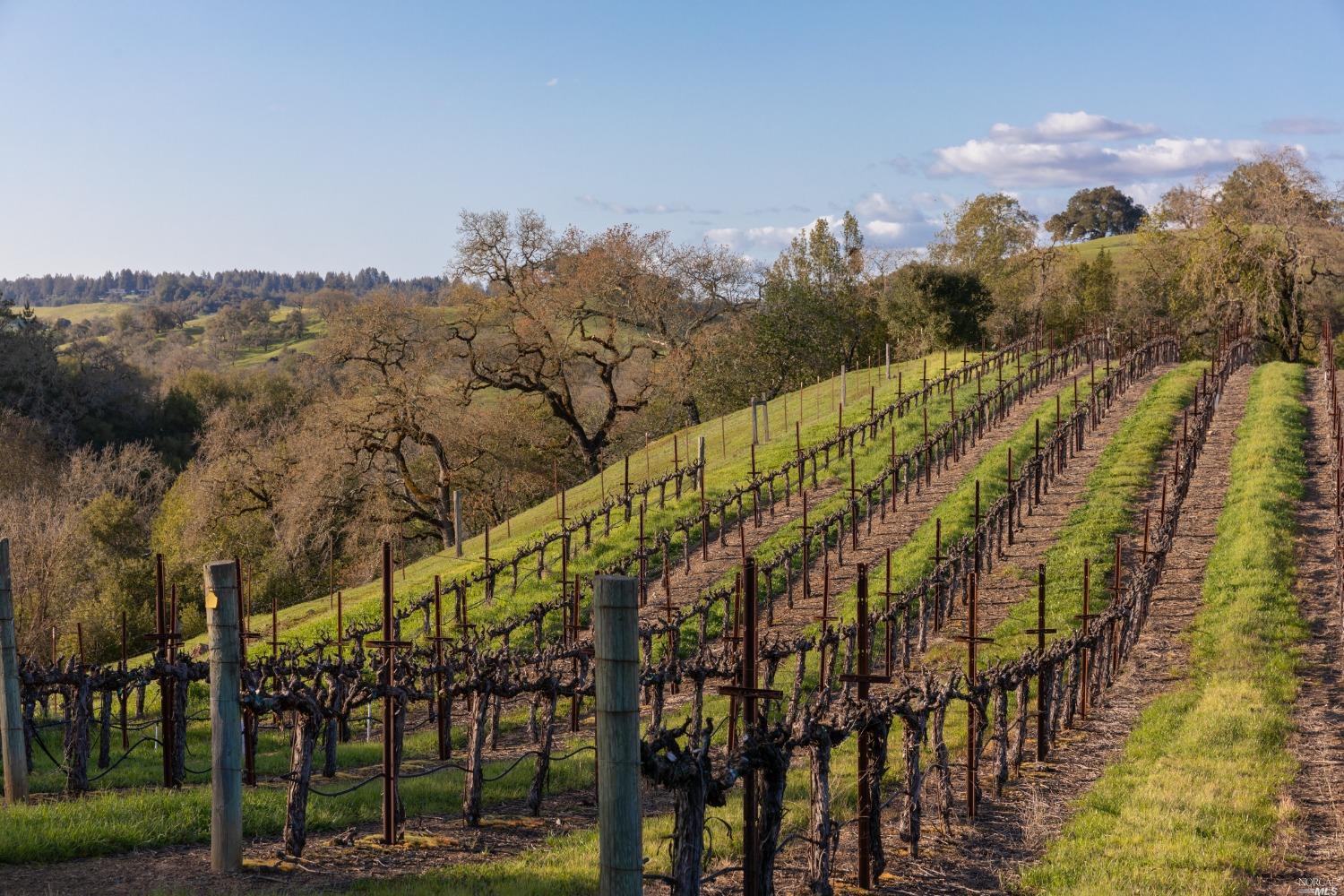 5285 Westside Road Healdsburg, CA 95448 - Photo 20 of 58